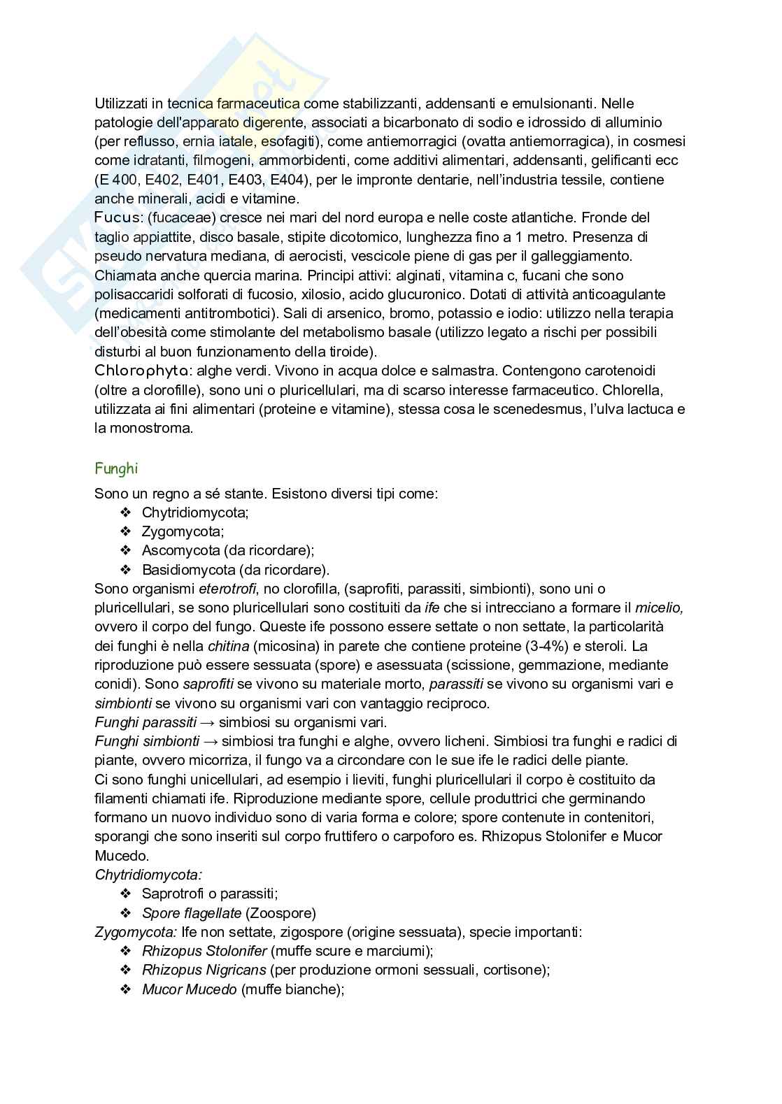 Biologia vegetale Pag. 36