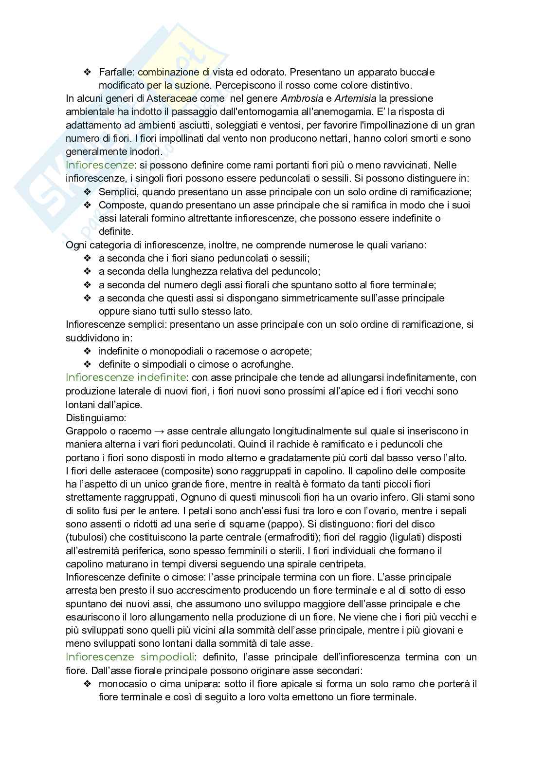Biologia vegetale Pag. 46