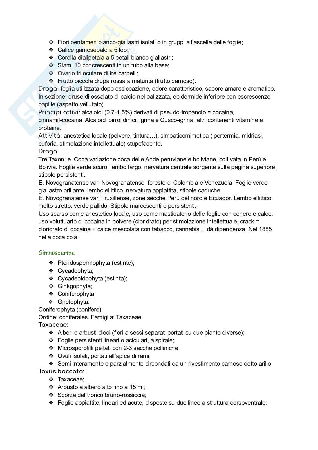 Biologia vegetale Pag. 56
