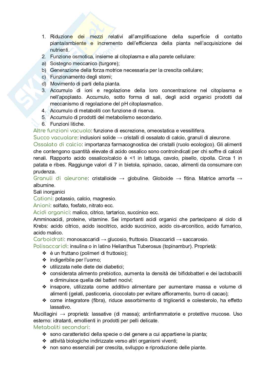 Biologia vegetale Pag. 6