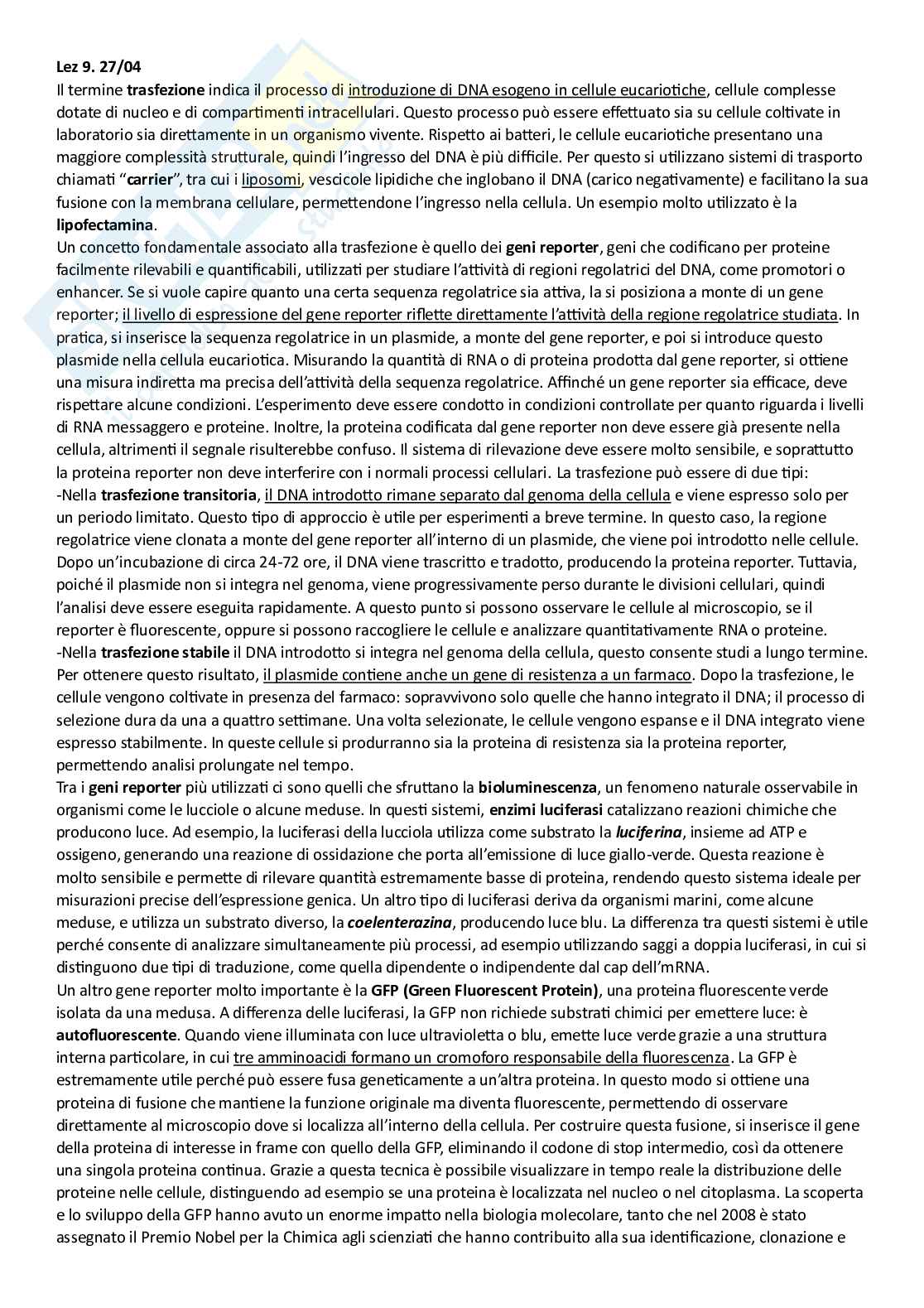 Appunti del C.I. Laboratorio di Biologia moleolare   Pag. 26