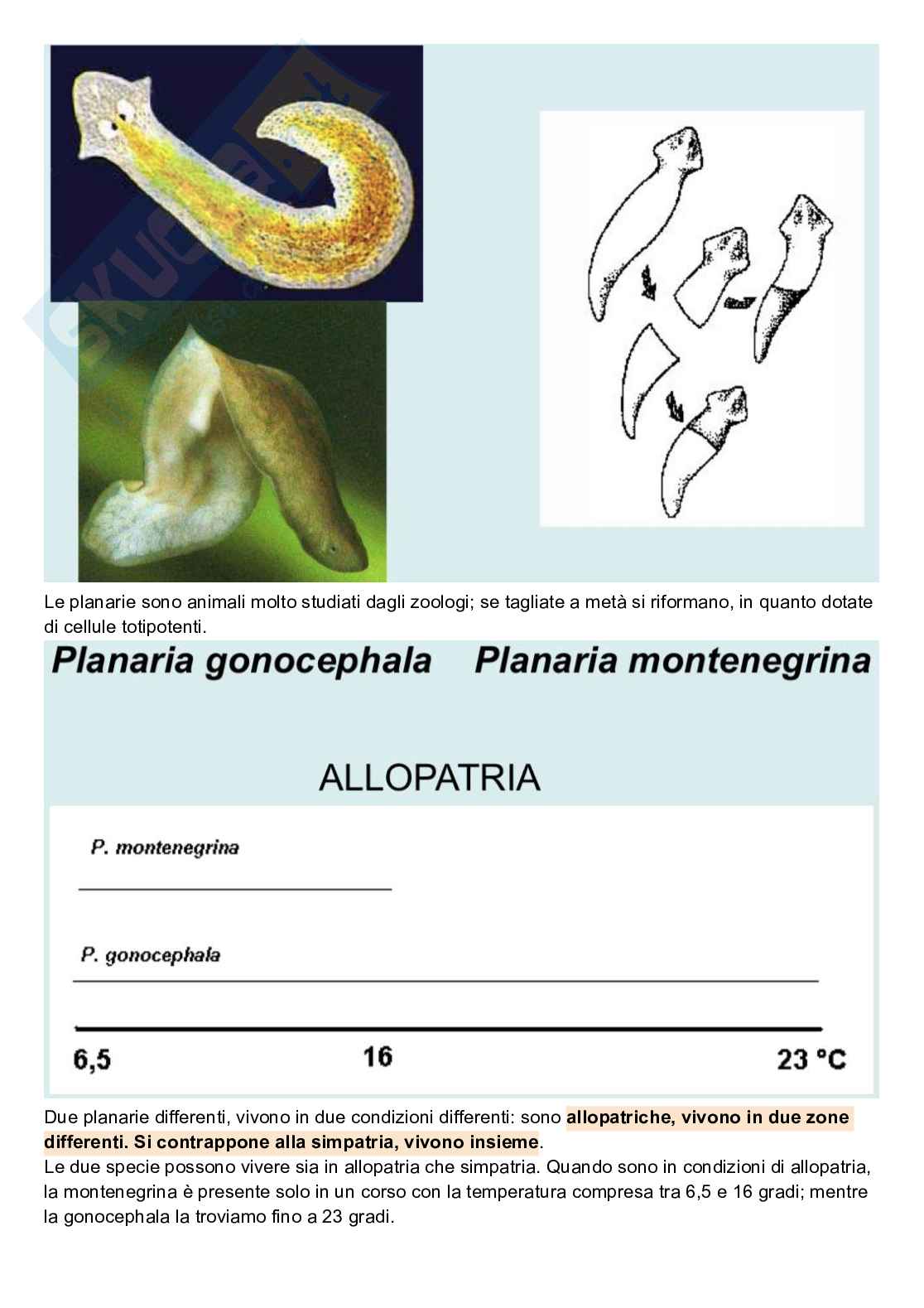 Appunti di Ecologia Pag. 41