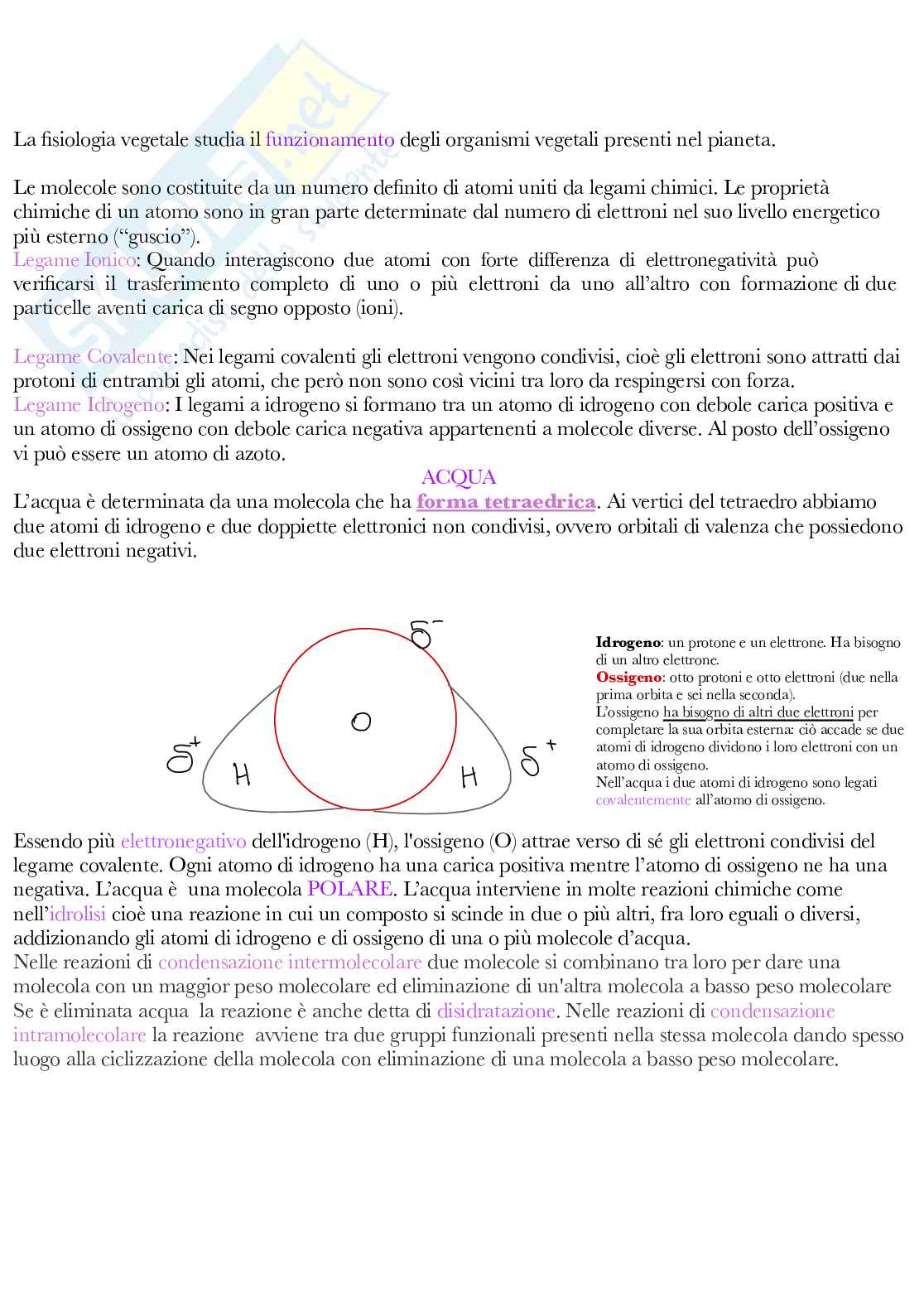 Fisiologia vegetale Pag. 2