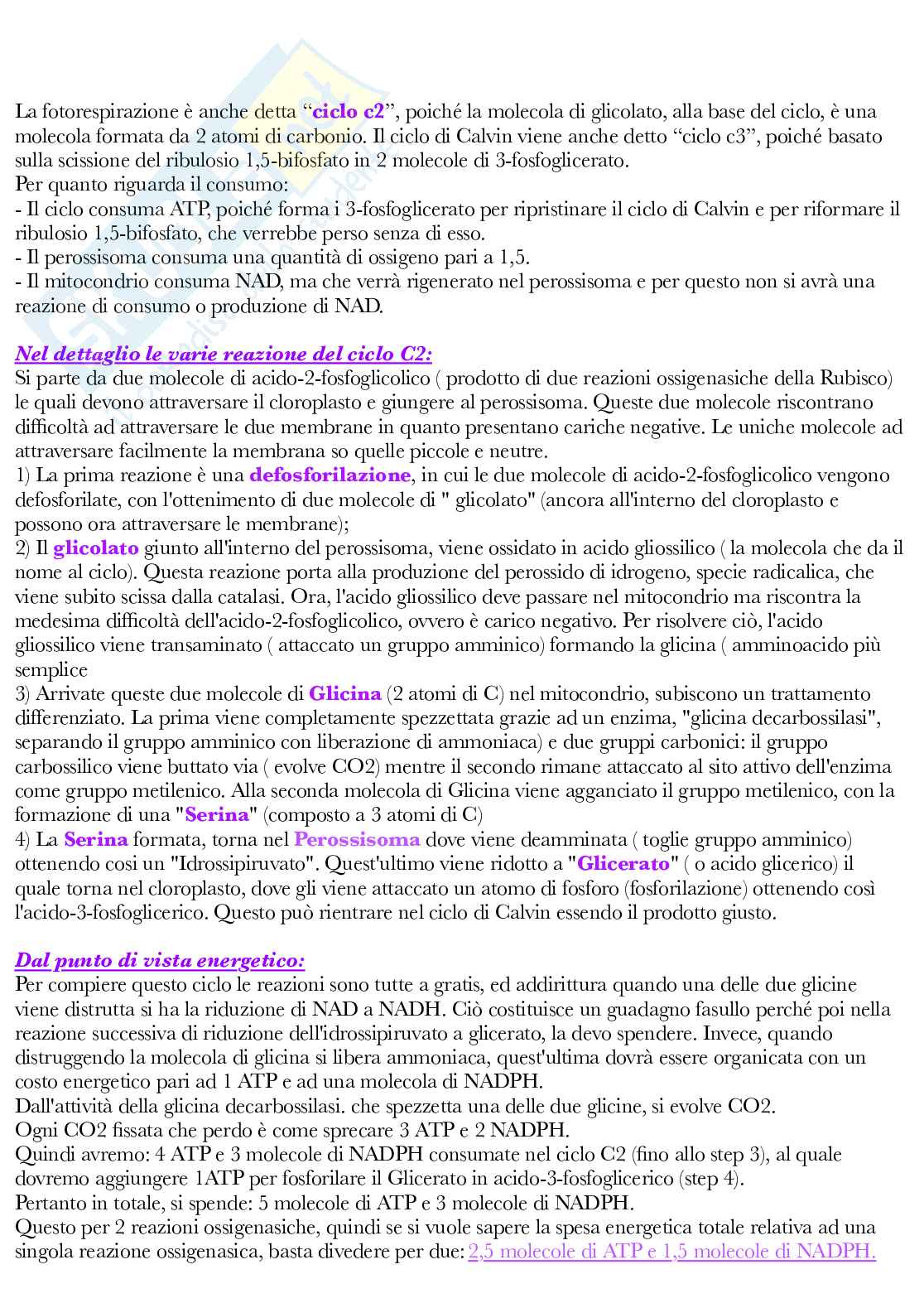 Fisiologia vegetale Pag. 56