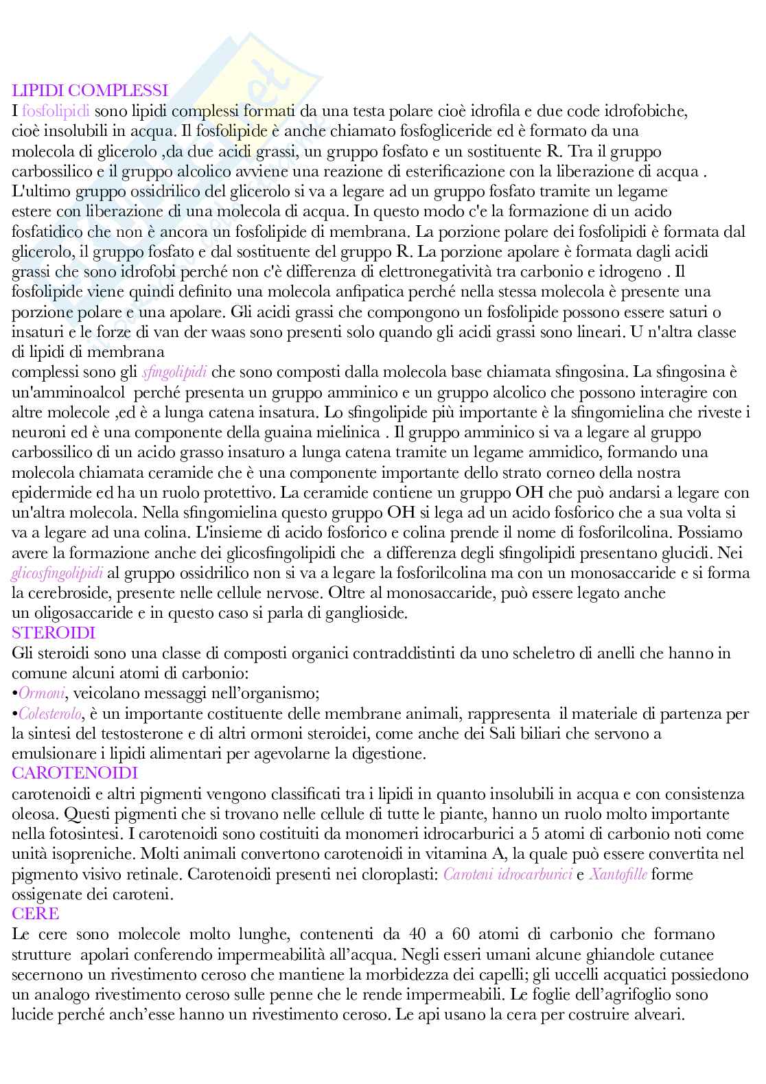 Fisiologia vegetale Pag. 6