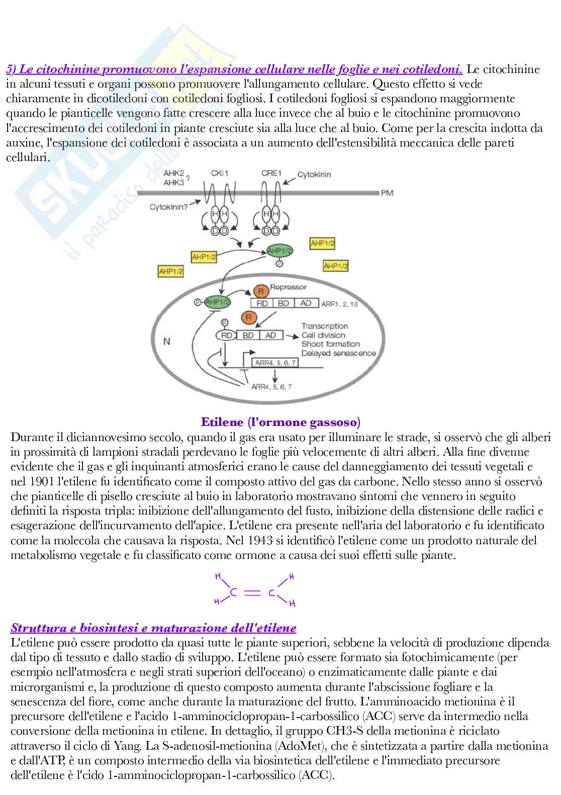 Fisiologia vegetale Pag. 76