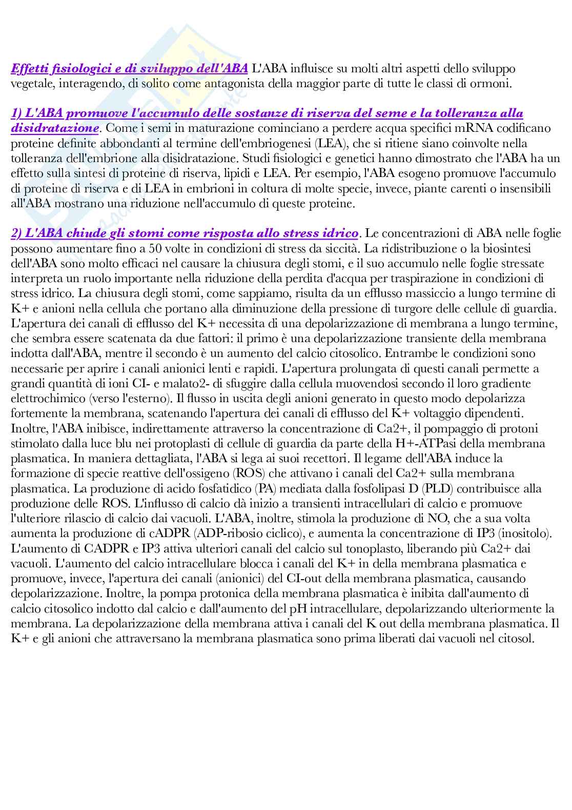 Fisiologia vegetale Pag. 81