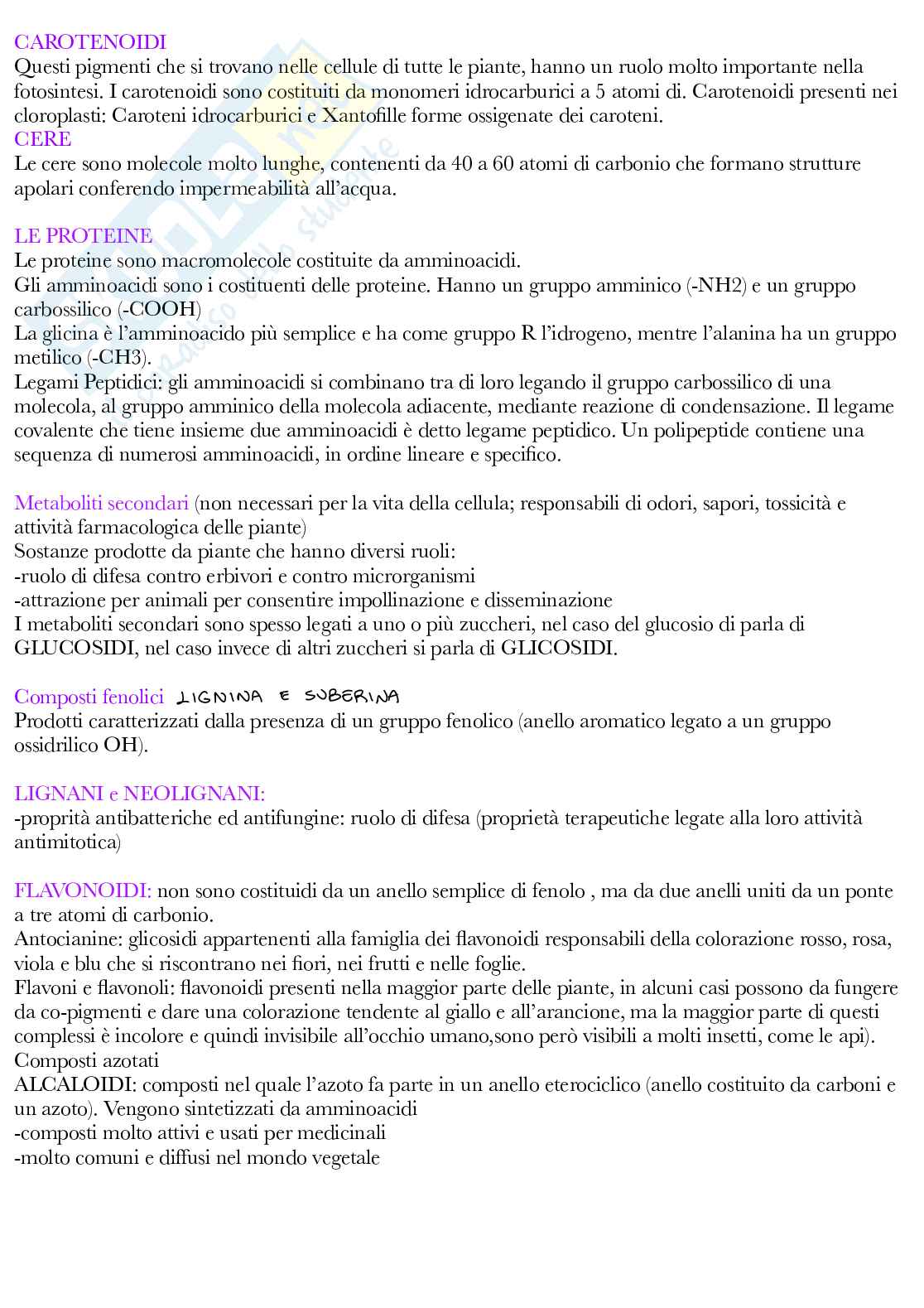 Fisiologia vegetale Pag. 91