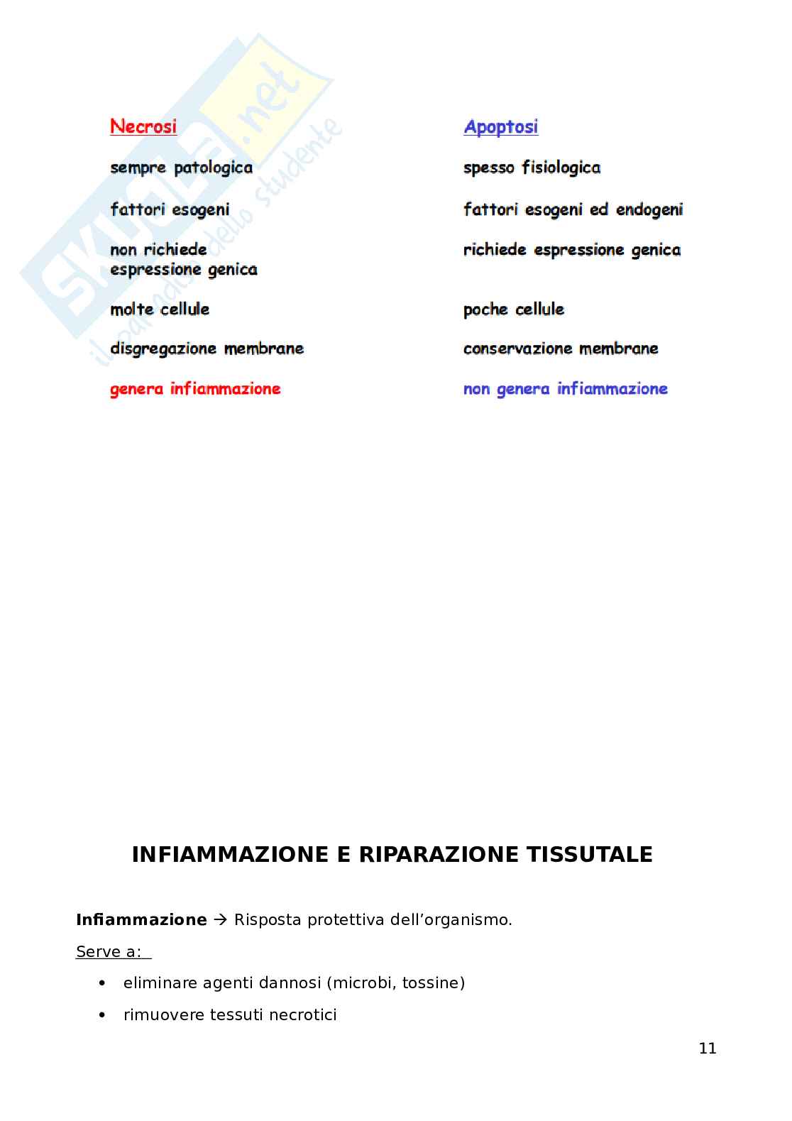 Fisiopatologia applicata all'infermieristica: patologia generale Pag. 11