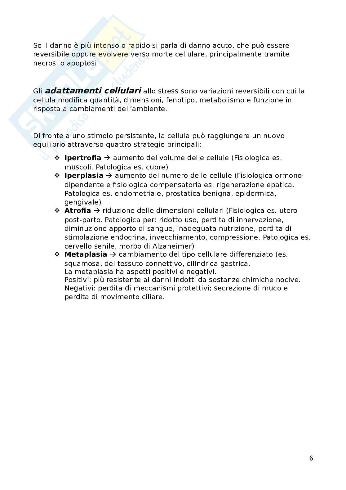 Fisiopatologia applicata all'infermieristica: patologia generale Pag. 6