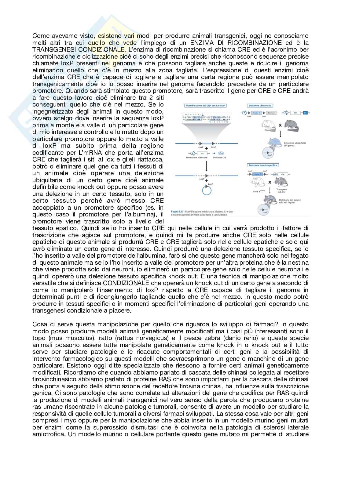 Farmacologia dei farmaci biotecnologici - parte 1 Pag. 21