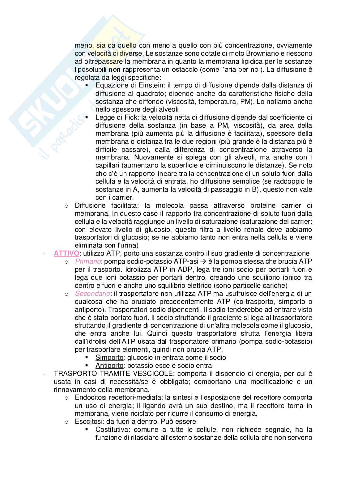 Fisiologia Pag. 2