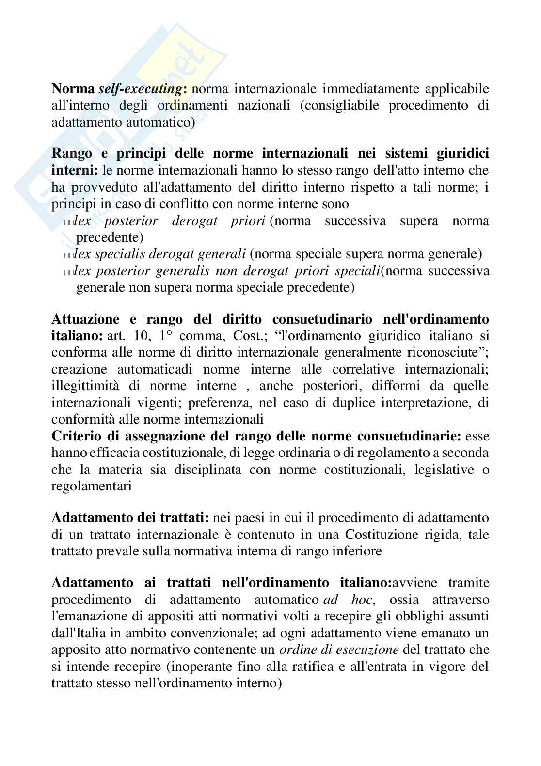 Diritto internazionale Pag. 46