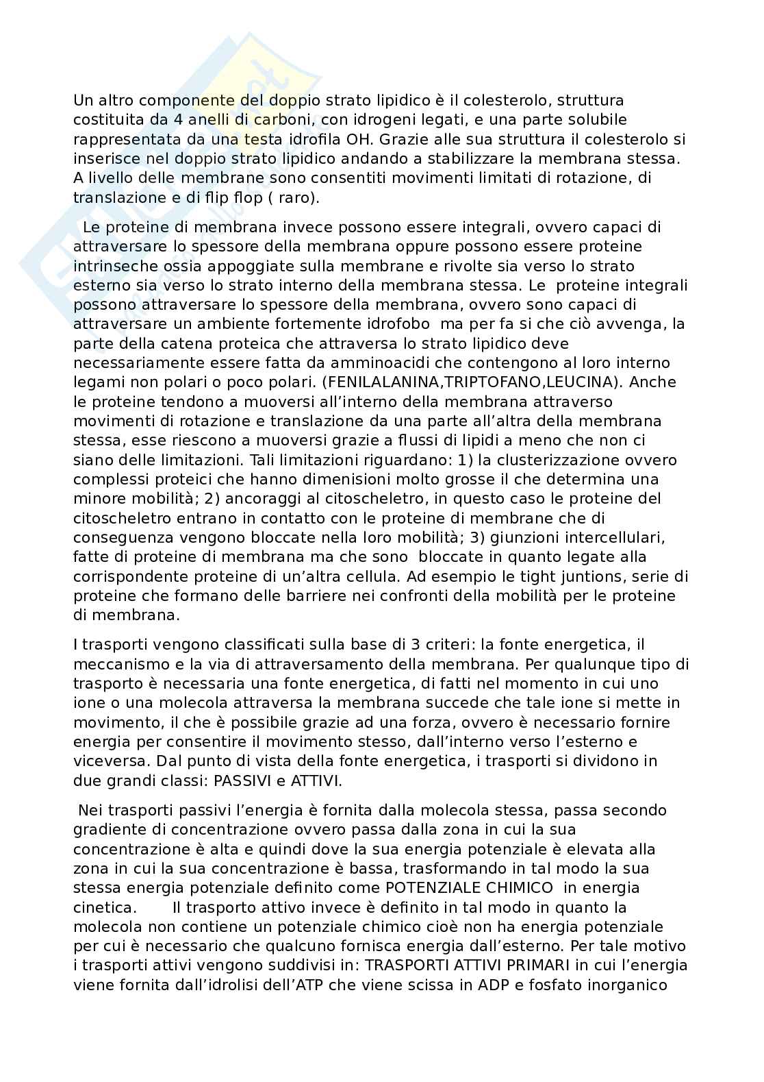 Fisiologia umana Pag. 11