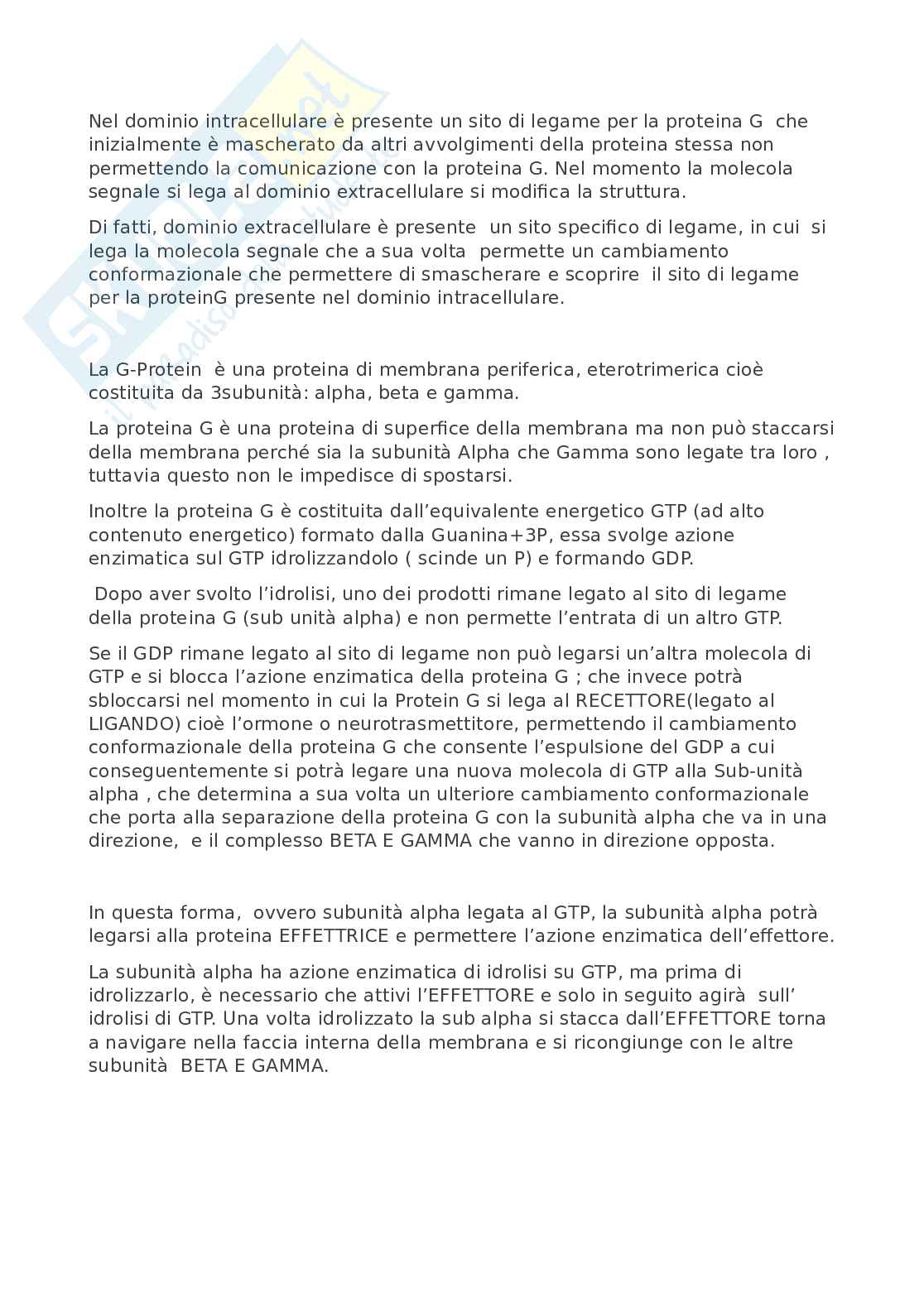 Fisiologia umana Pag. 26