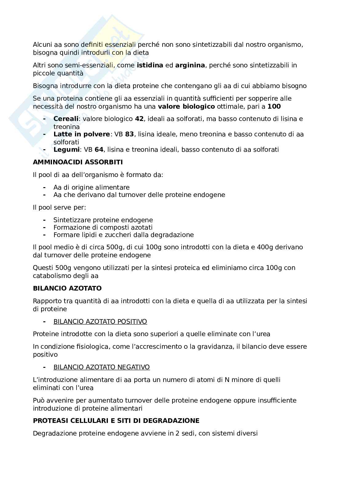 Metabolismo delle proteine - Appunti biochimica Pag. 2