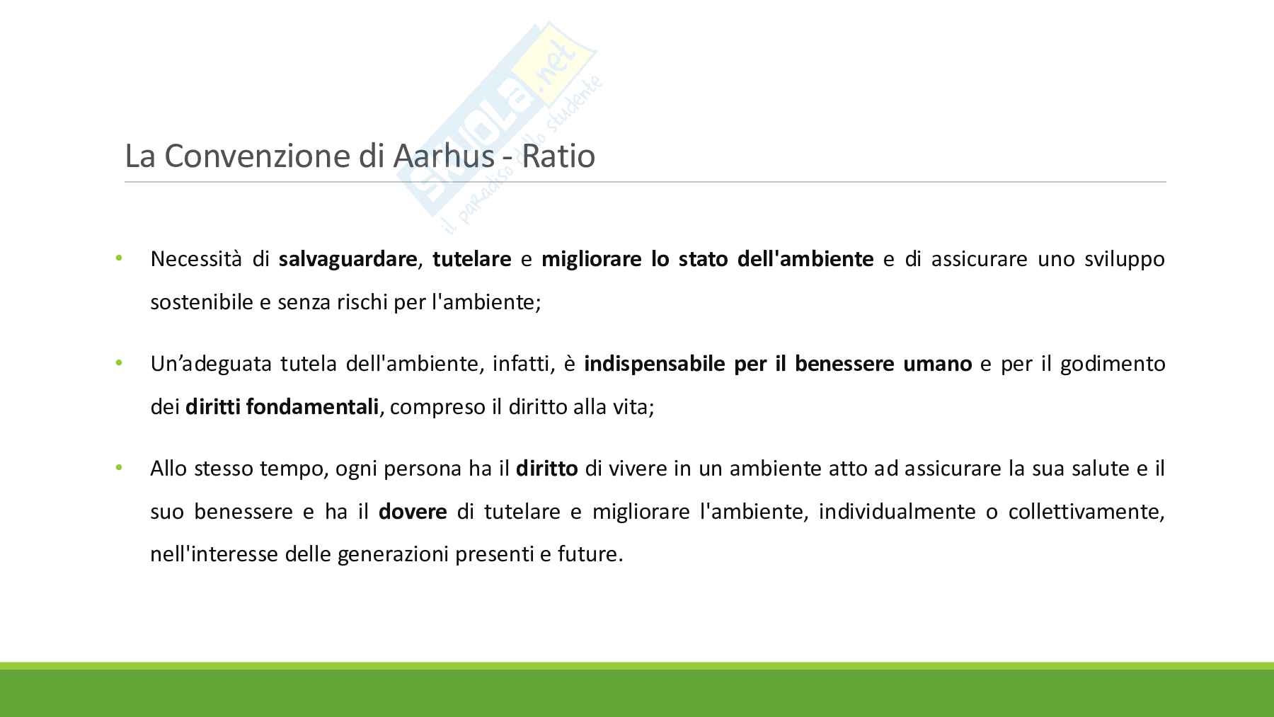 Convenzione di Aarhus 2025 Pag. 6