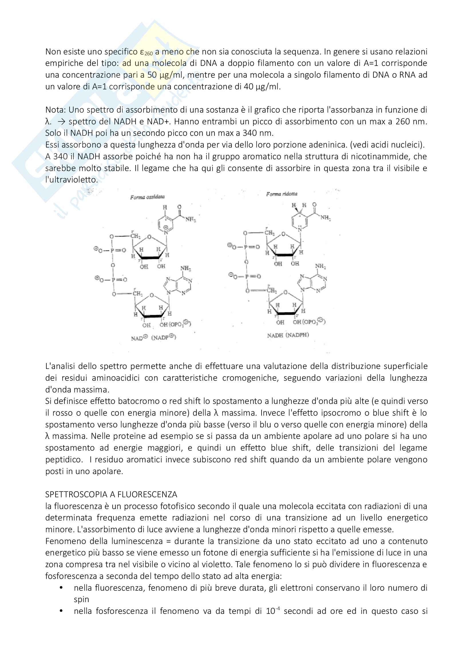 Appunti metodologie biochimiche Pag. 6