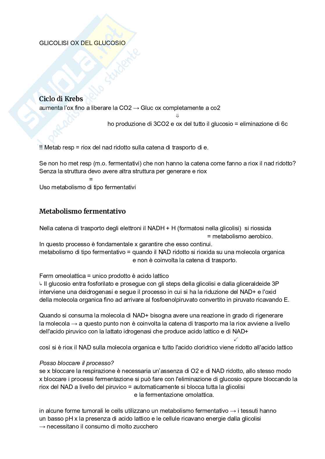 Appunti Microbiologia generale e alimentare Pag. 16