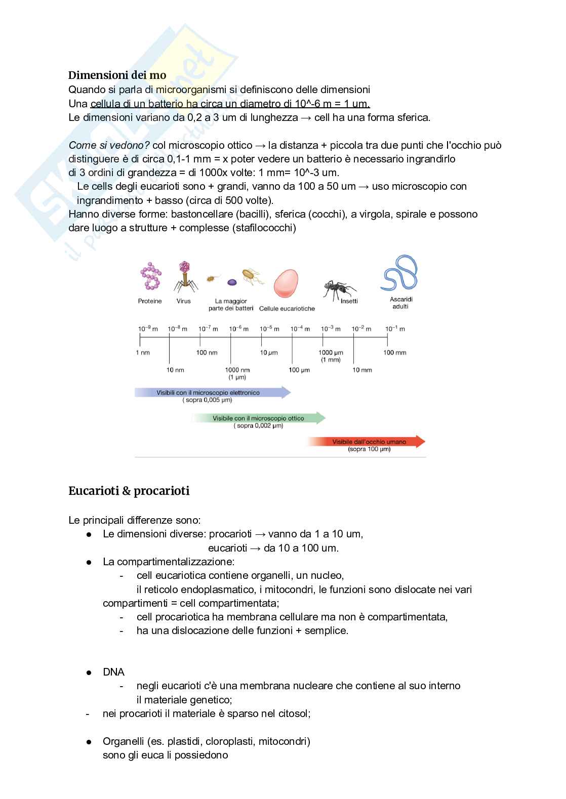 Appunti Microbiologia generale e alimentare Pag. 2
