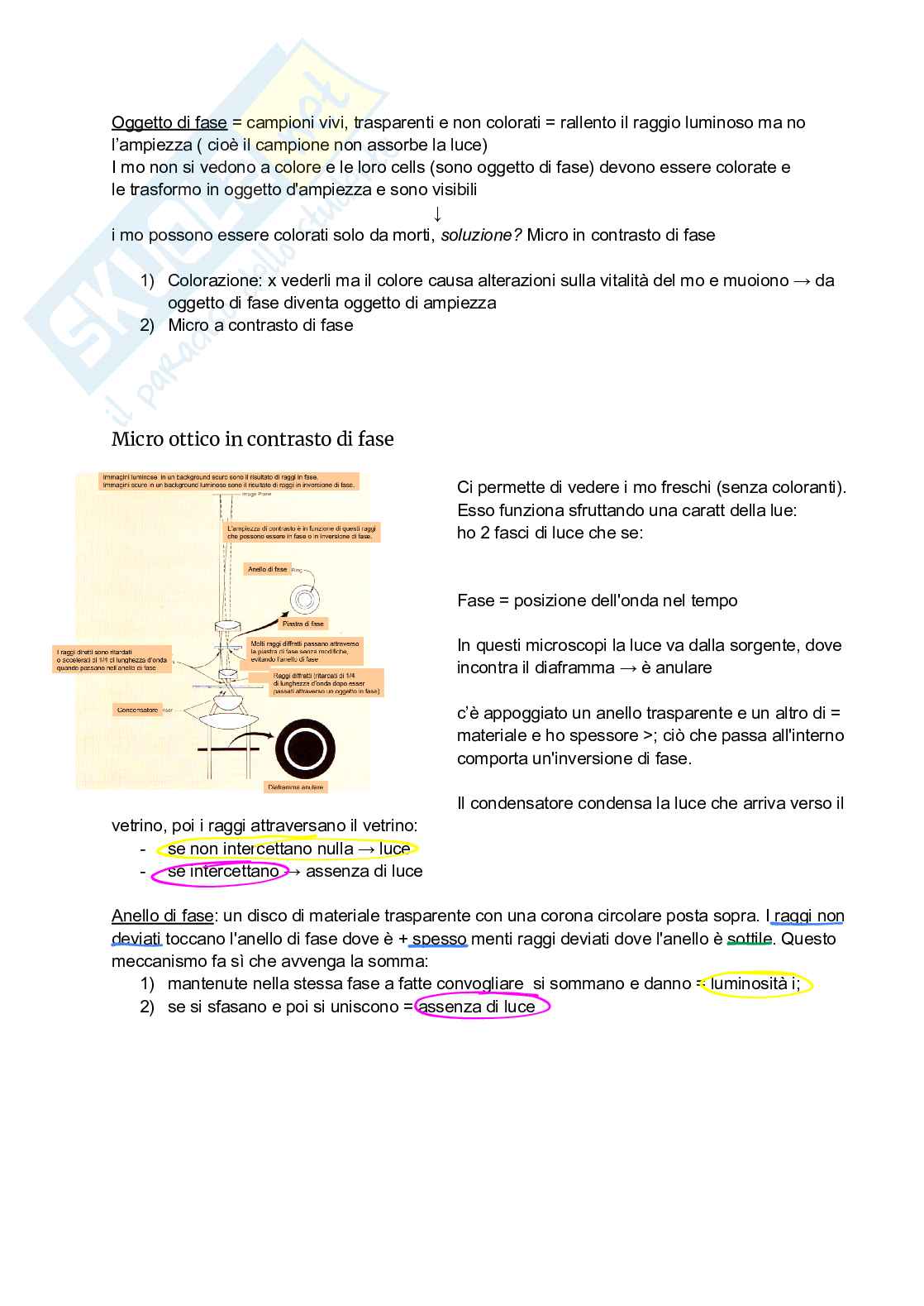 Appunti Microbiologia generale e alimentare Pag. 6