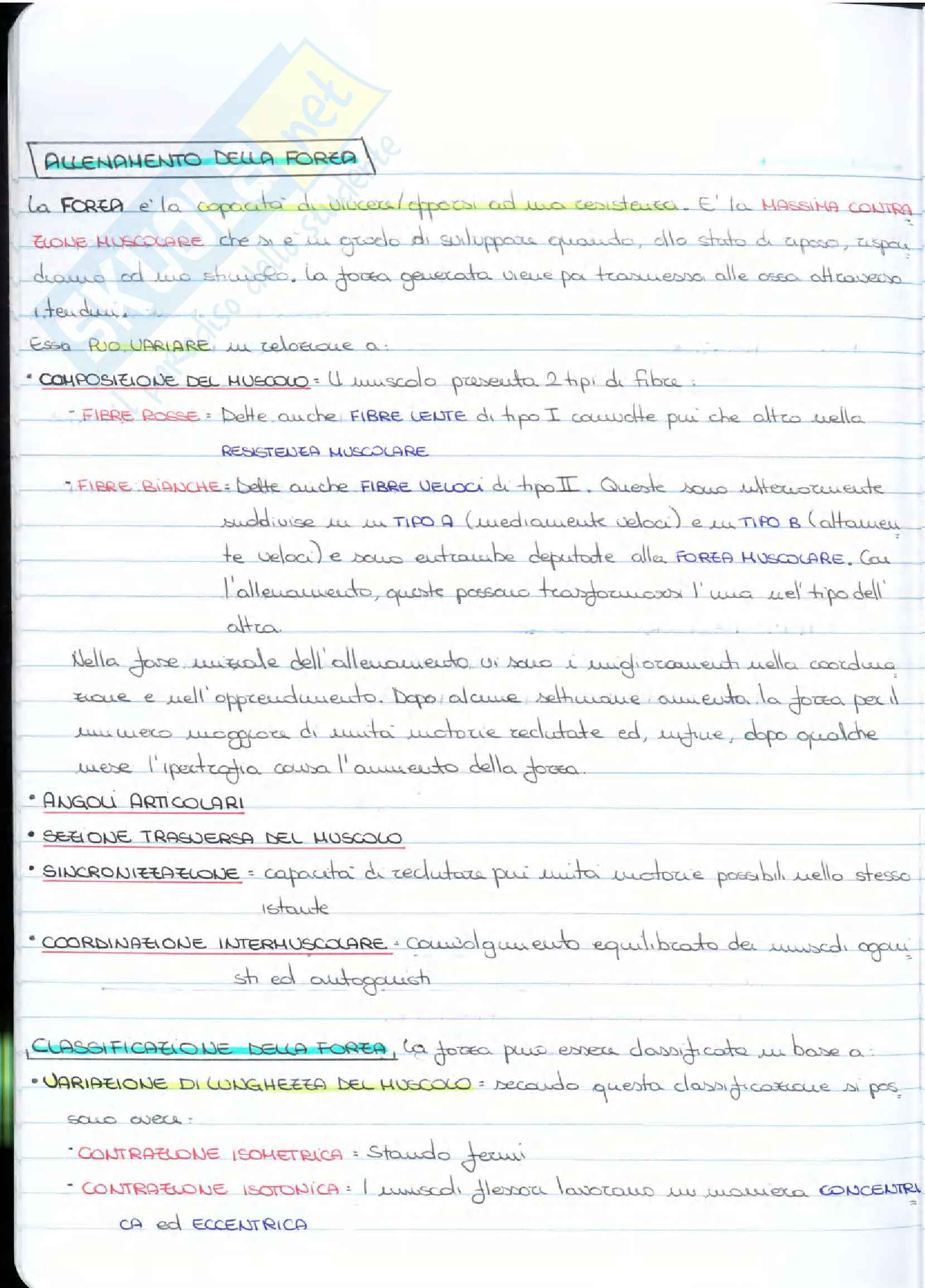 Ginnastica attrezzistica Pag. 21