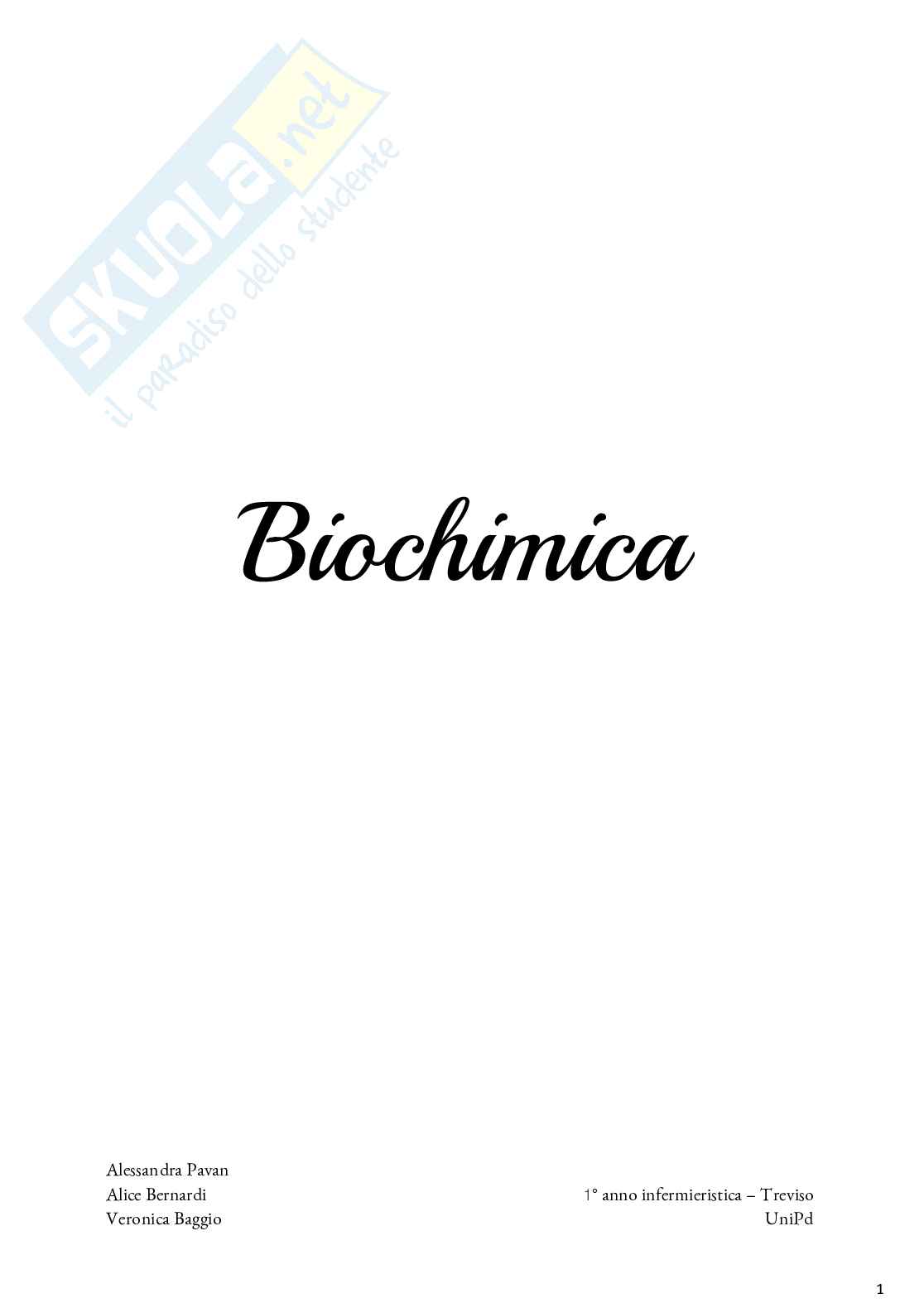 Biochimica - Appunti Pag. 1