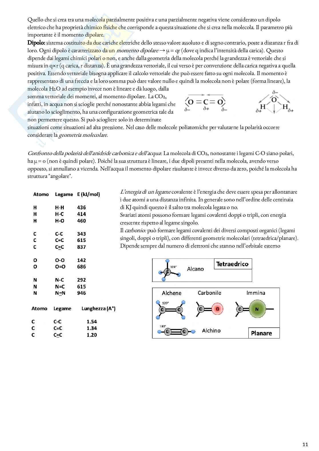 Biochimica - Appunti Pag. 11