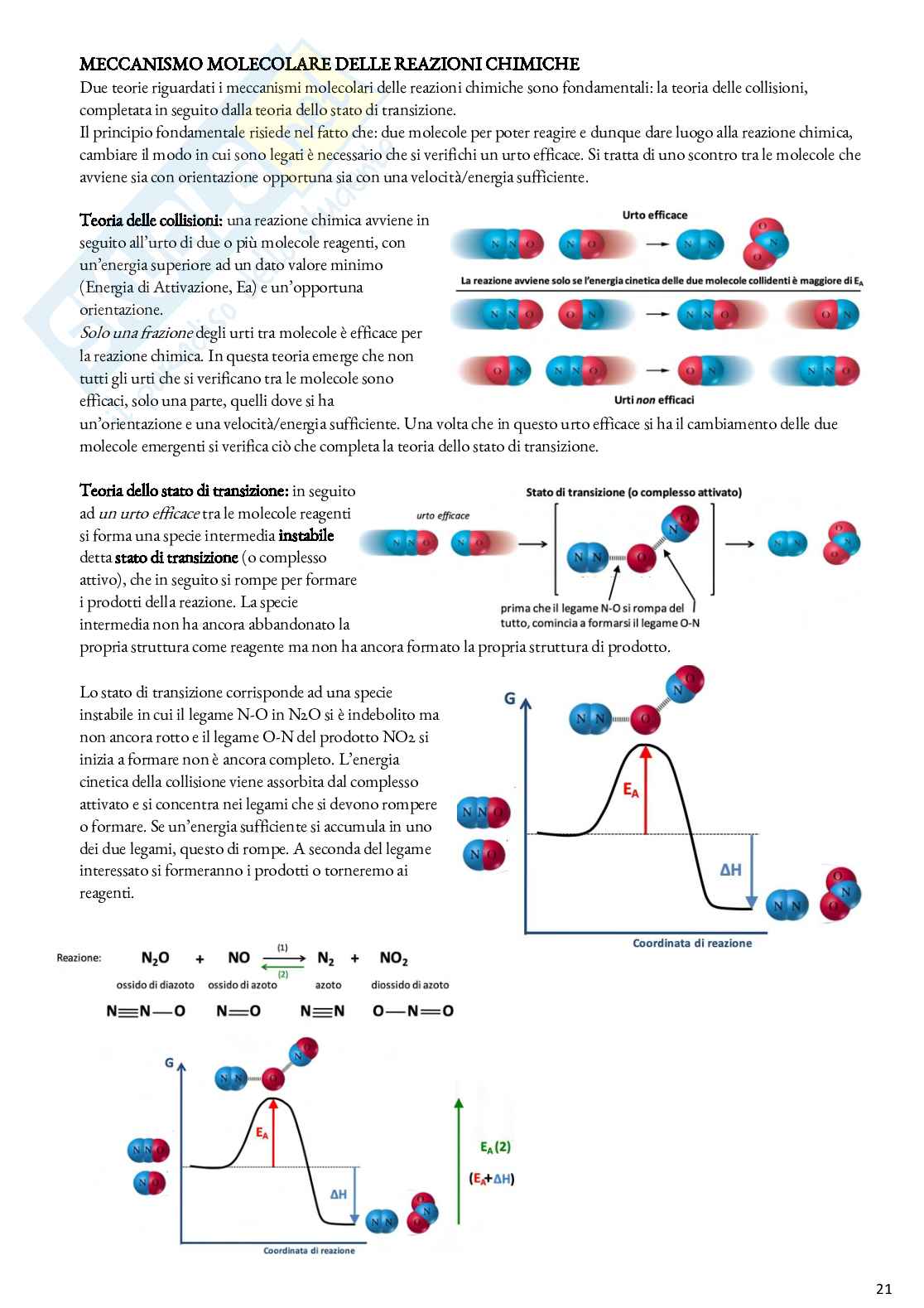 Biochimica - Appunti Pag. 21