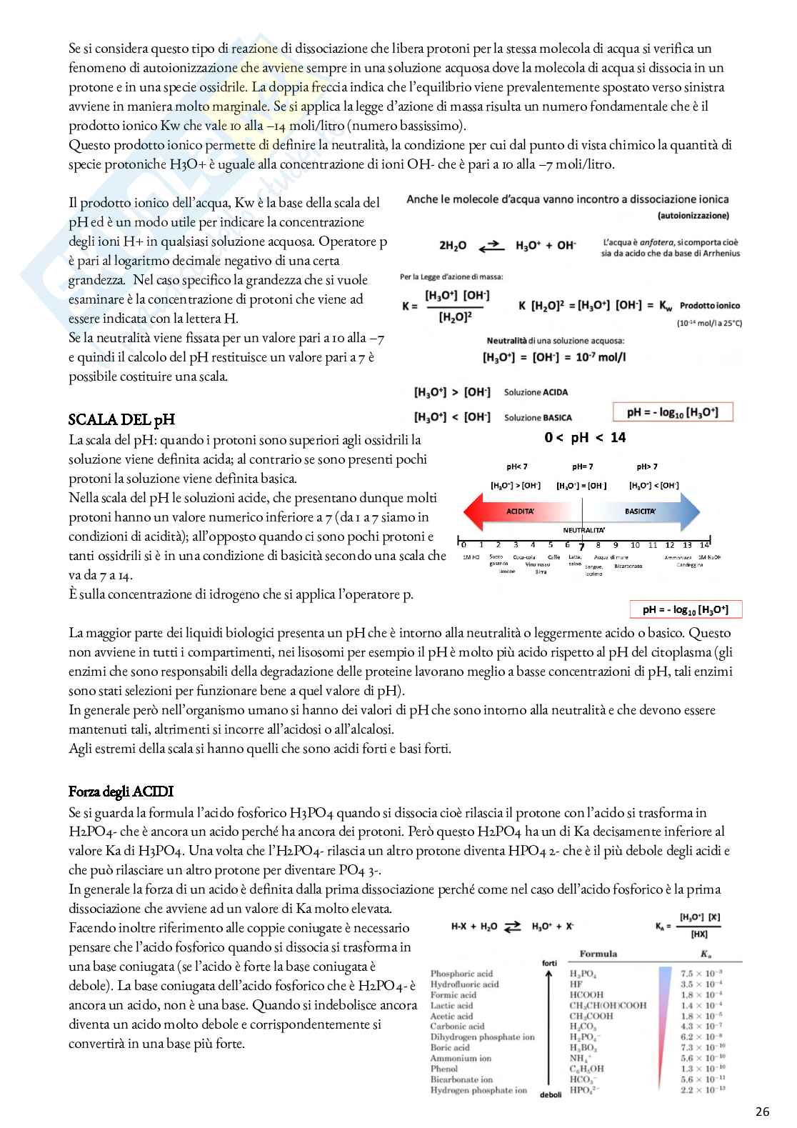 Biochimica - Appunti Pag. 26