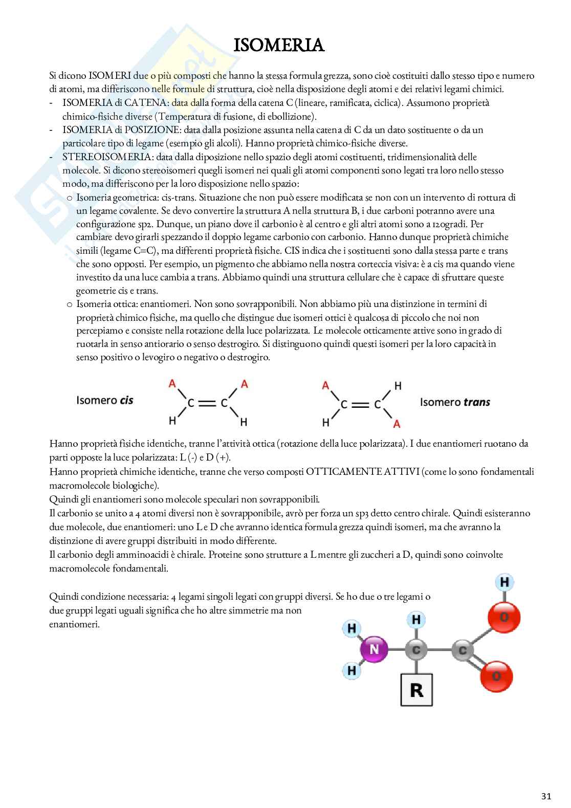 Biochimica - Appunti Pag. 31