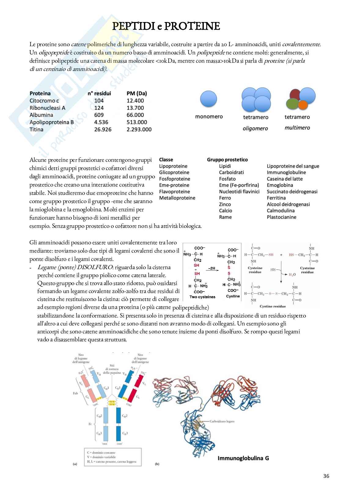 Biochimica - Appunti Pag. 36