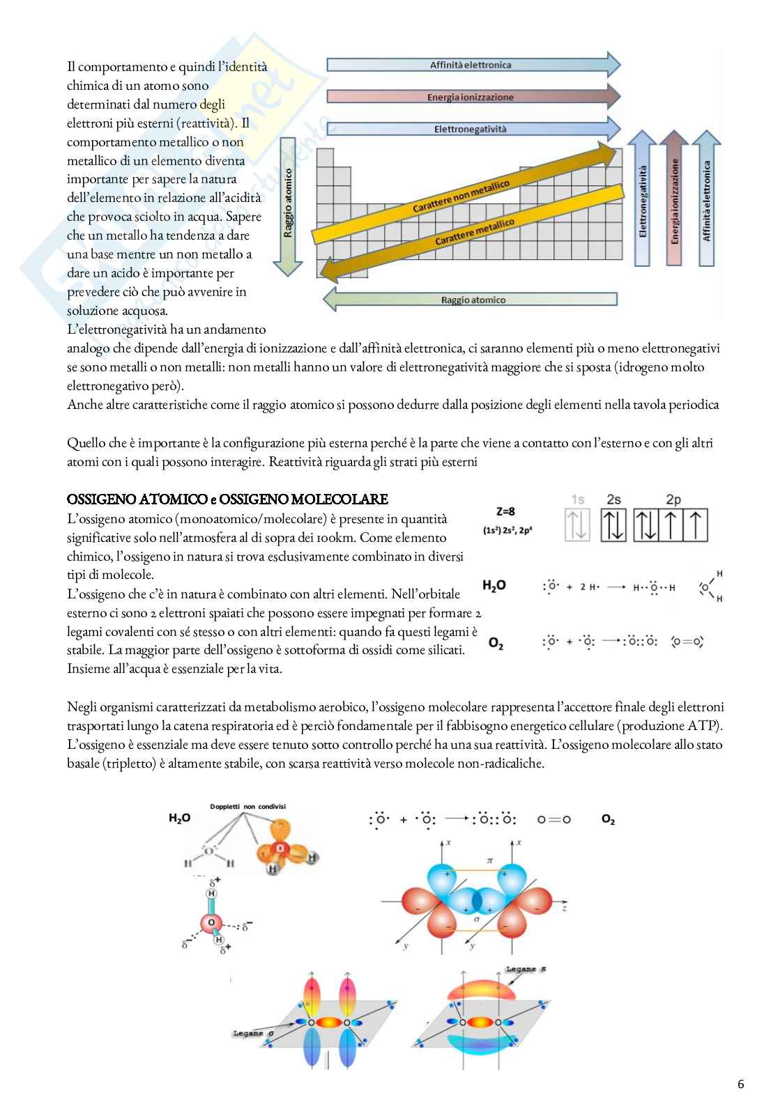 Biochimica - Appunti Pag. 6