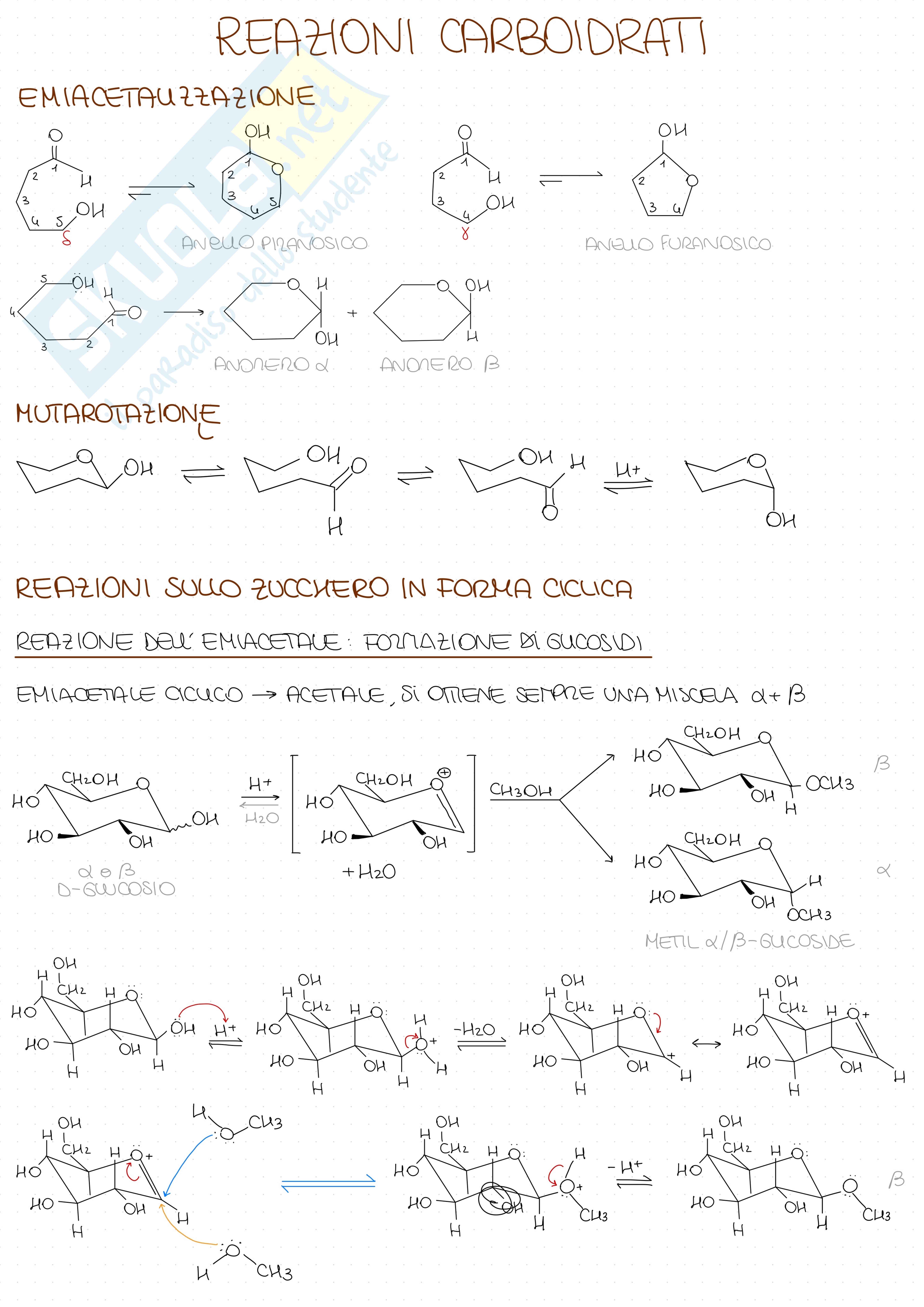 Reazioni carboidrati  Pag. 1