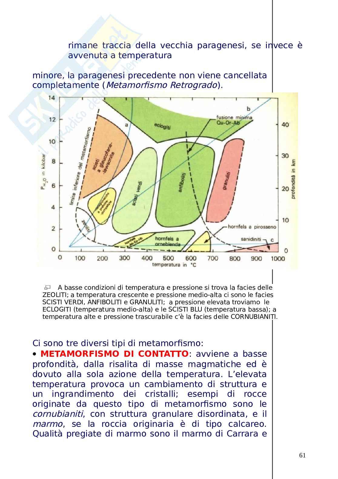 Metamorfosi Pag. 61