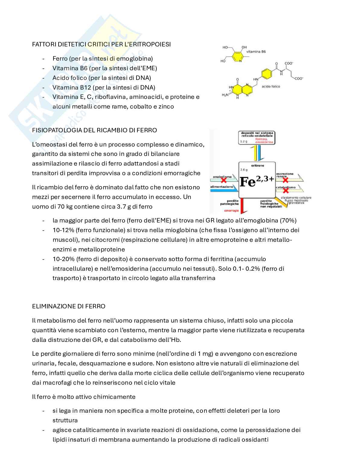 Patologia clinica Pag. 36