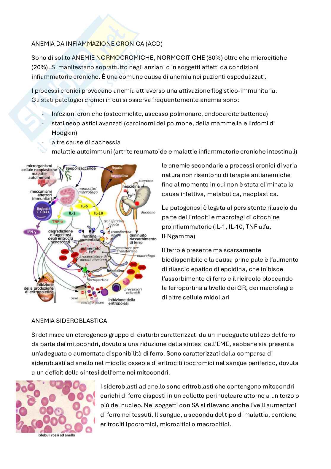 Patologia clinica Pag. 46
