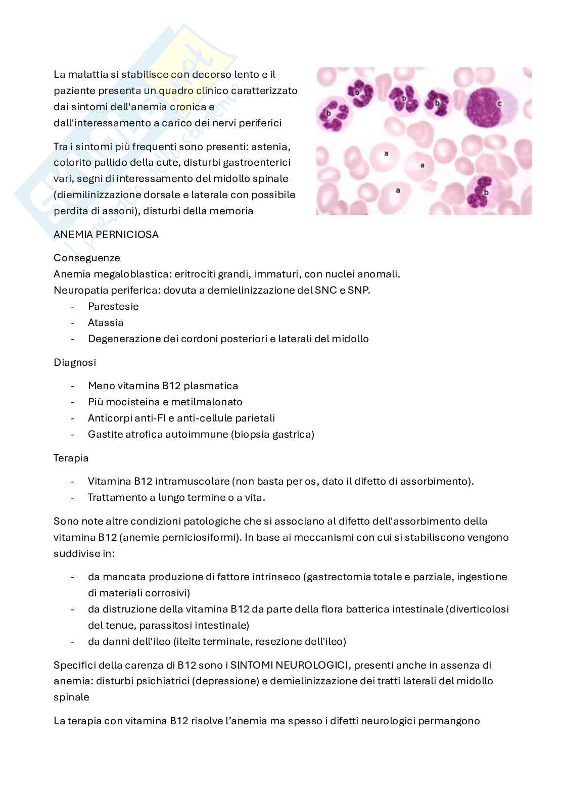 Patologia clinica Pag. 56