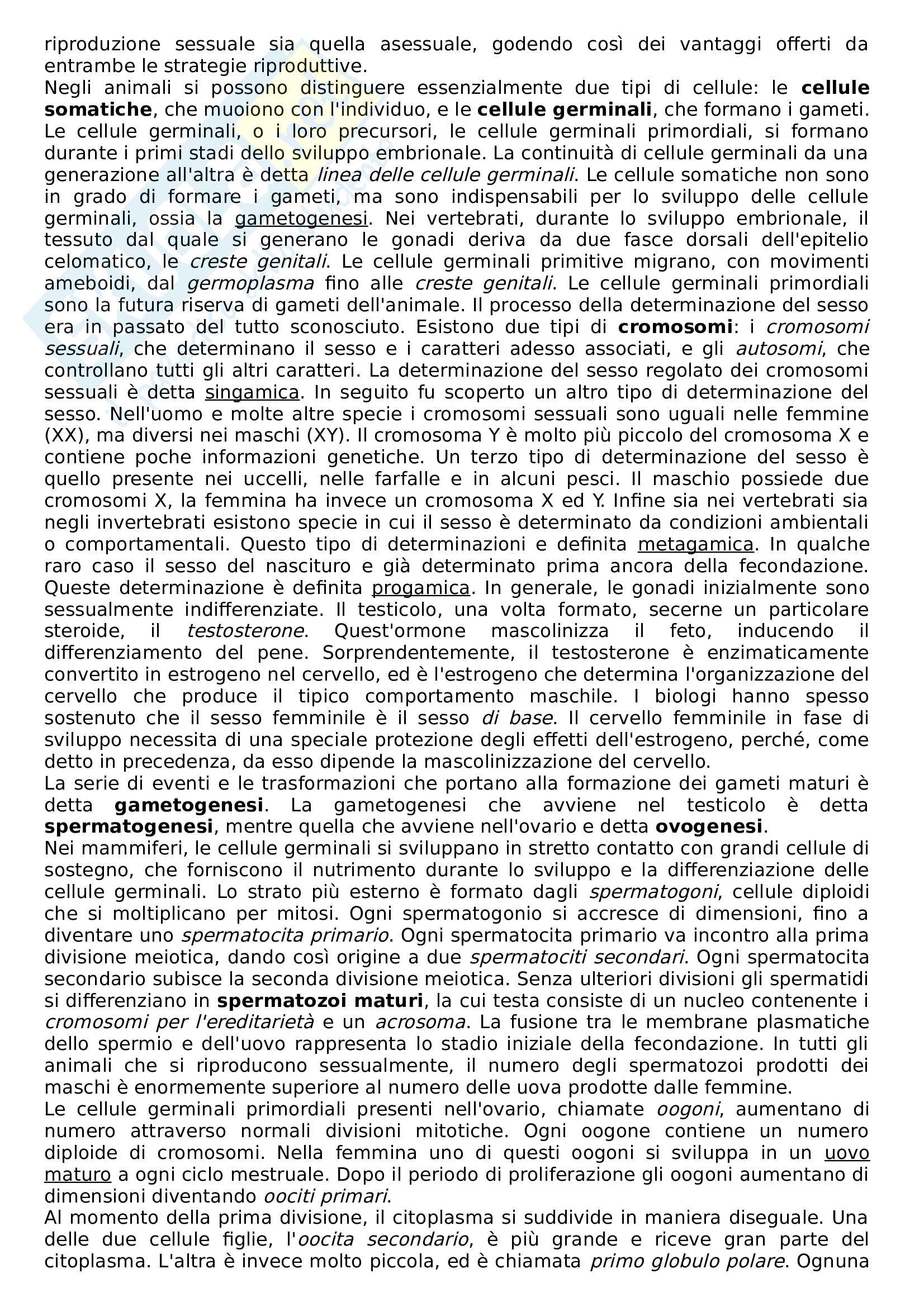 Appunti di Zoologia Pag. 6