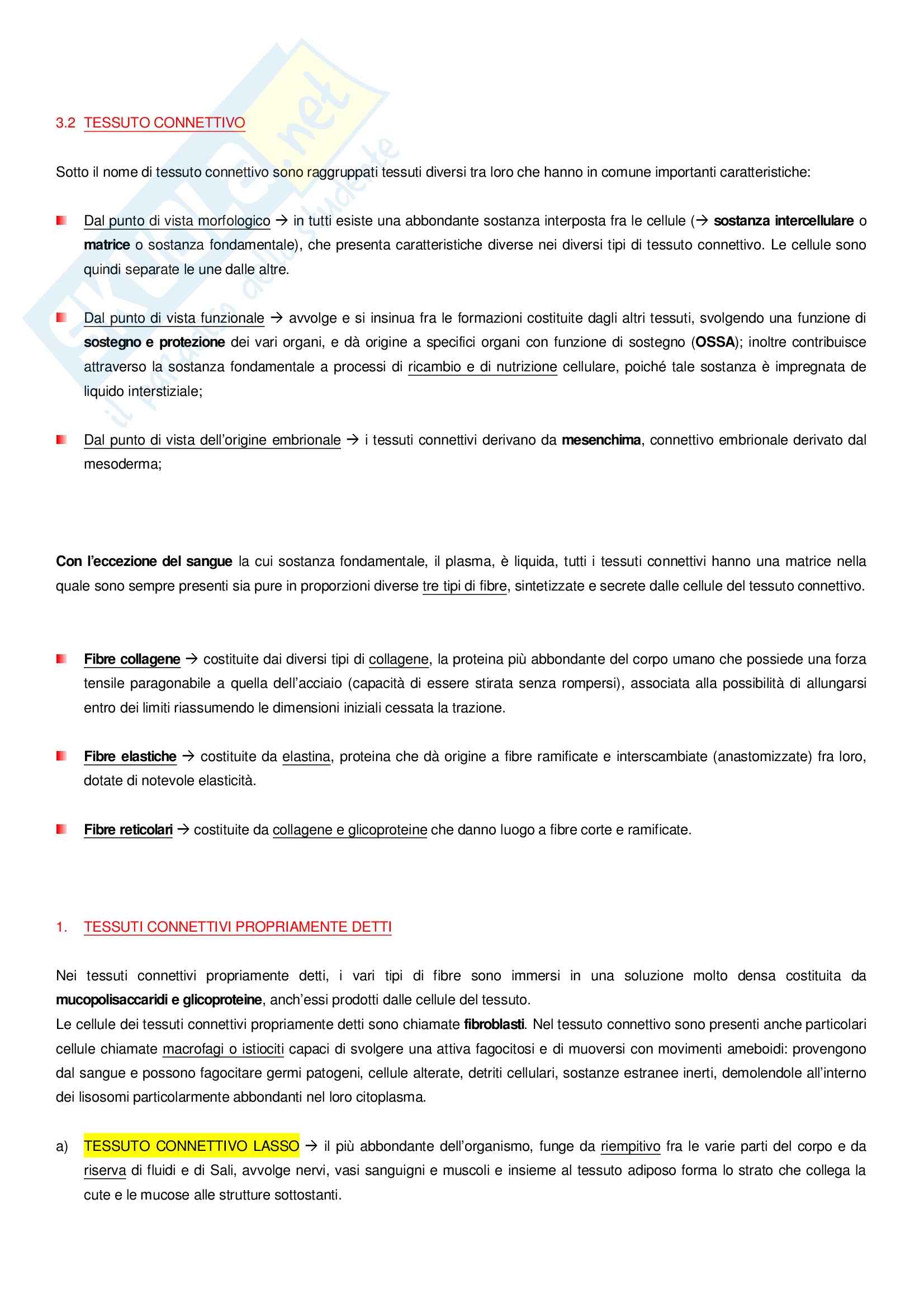 Basi biologiche Pag. 16