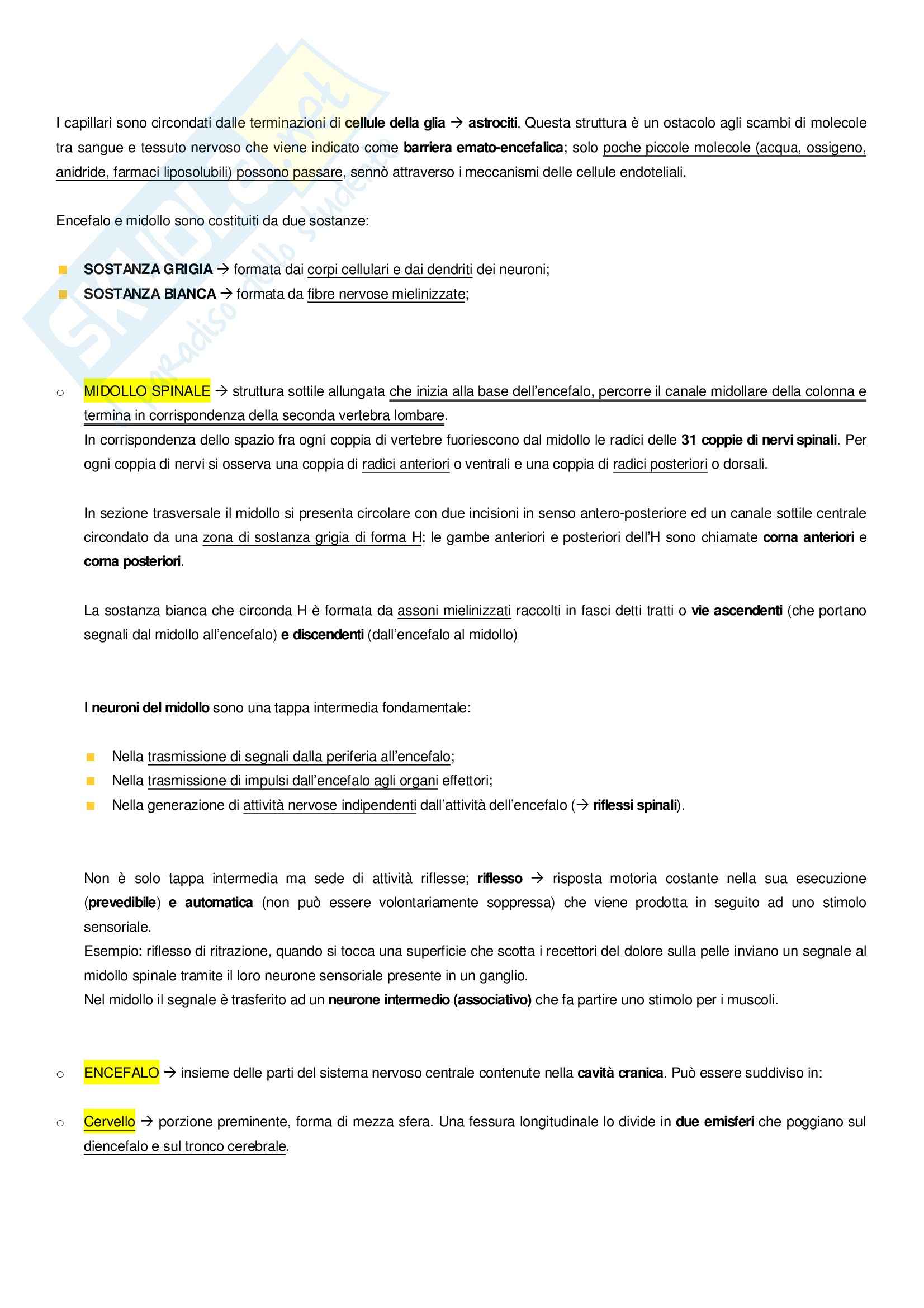 Basi biologiche Pag. 91