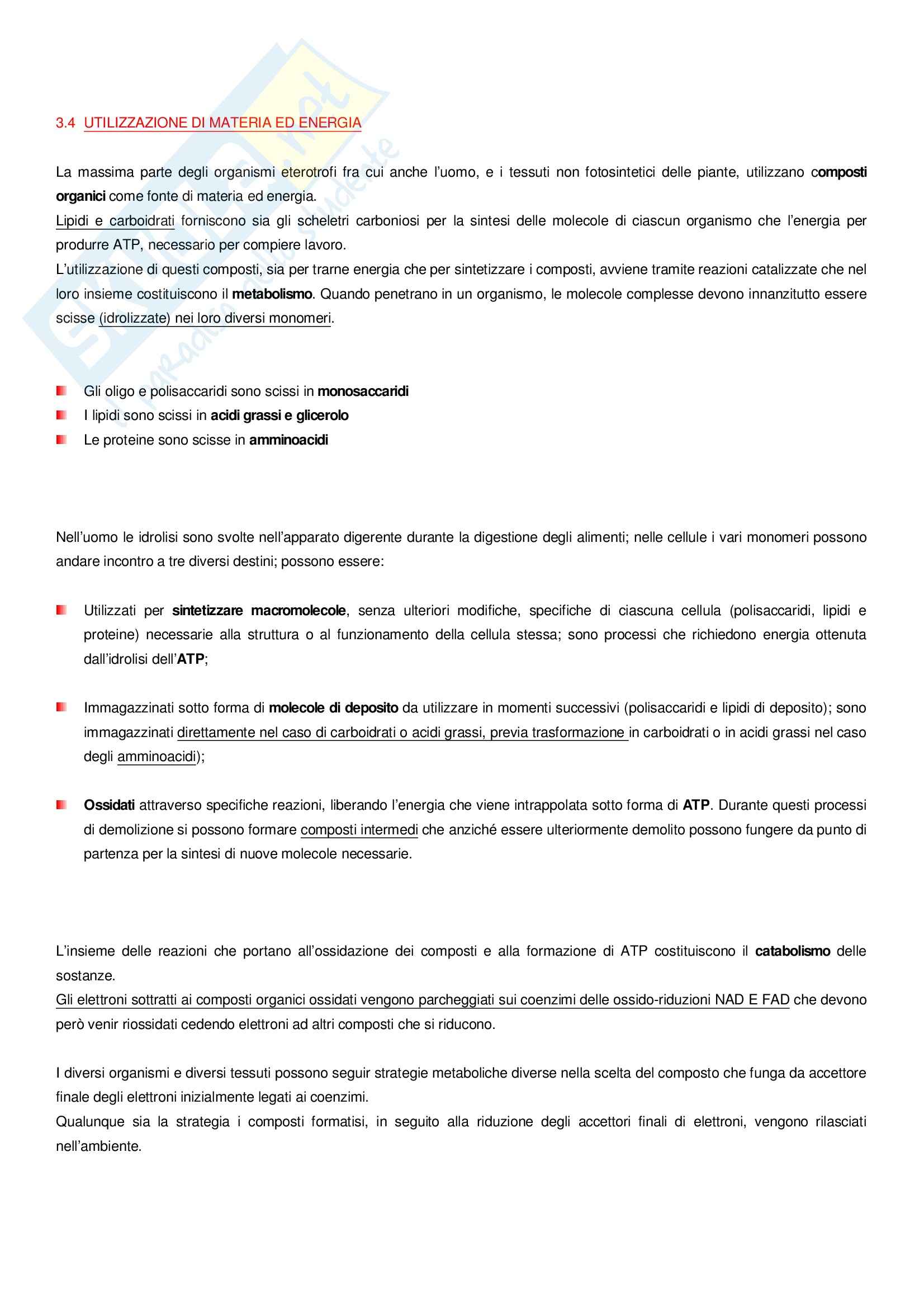 Importanza Biologica Delle Interazioni Deboli