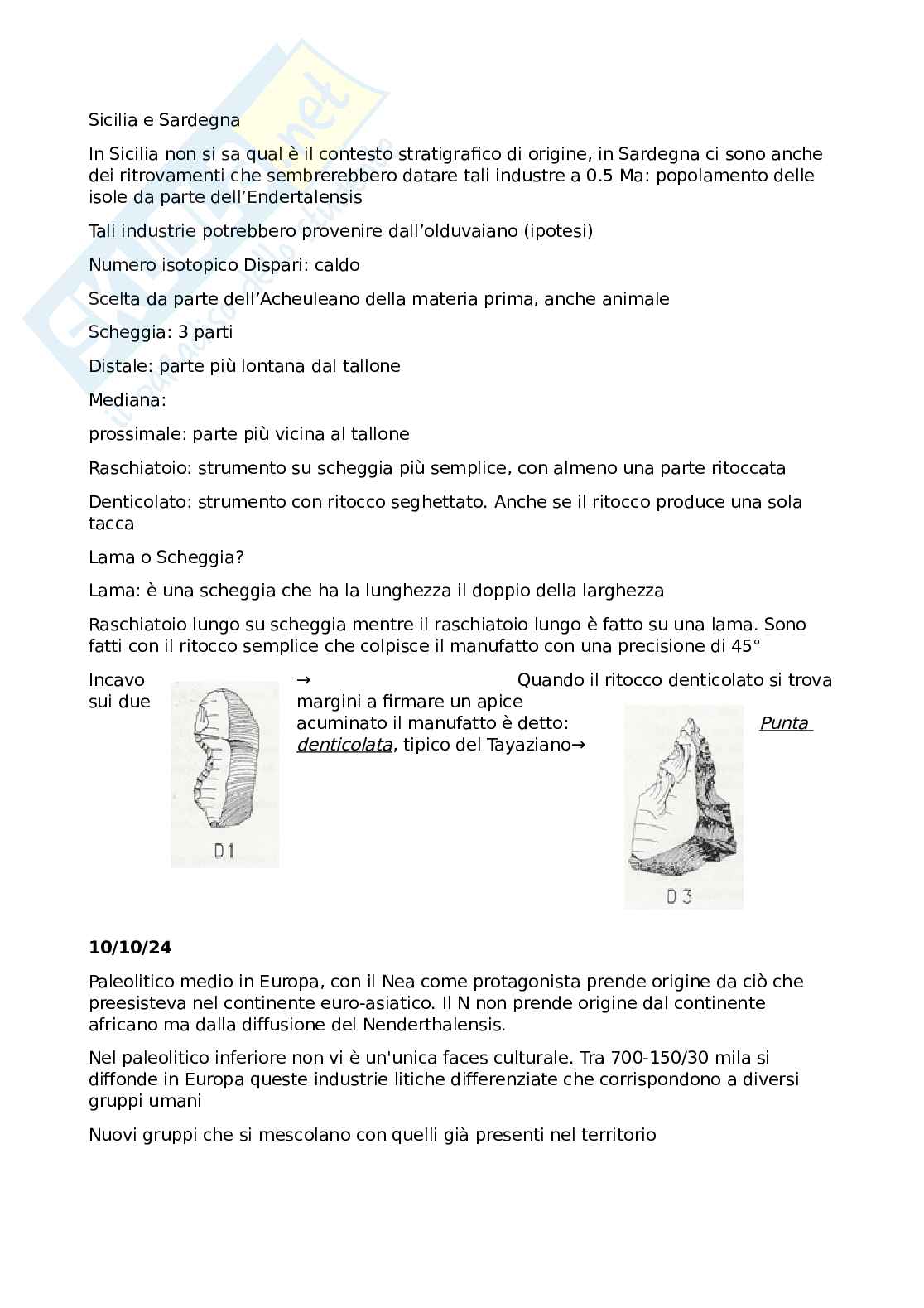 Paletnologia - Appunti Pag. 11