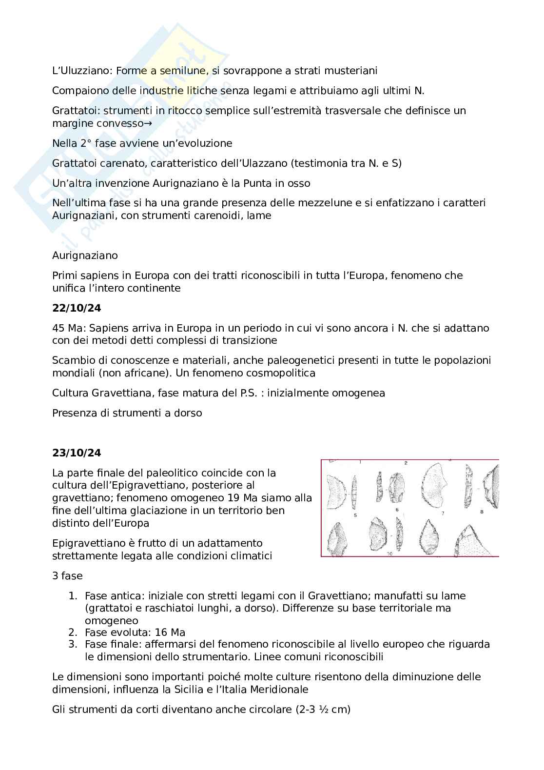 Paletnologia - Appunti Pag. 16