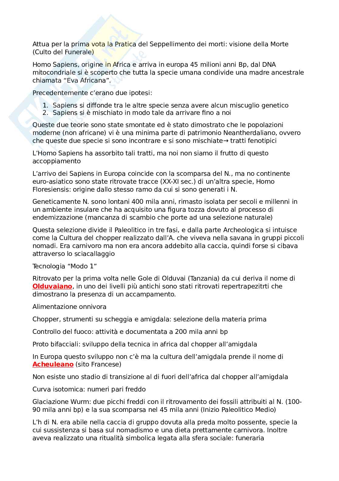 Paletnologia - Appunti Pag. 6