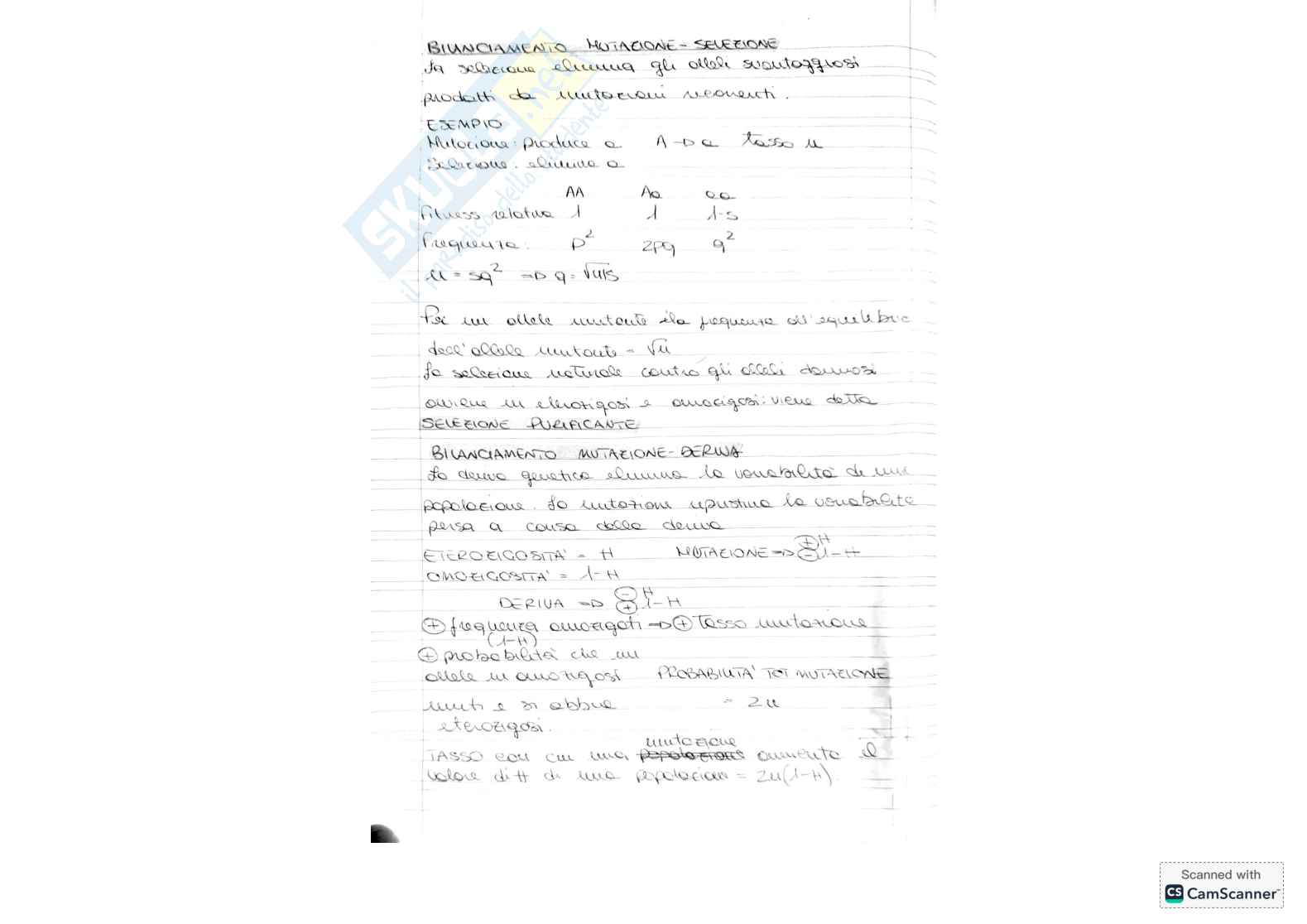 Riassunto esame Genetica, Prof. Cardinali Gianluigi, libro consigliato Definizioni principali - Principi di genetica , Snustad  Pag. 6