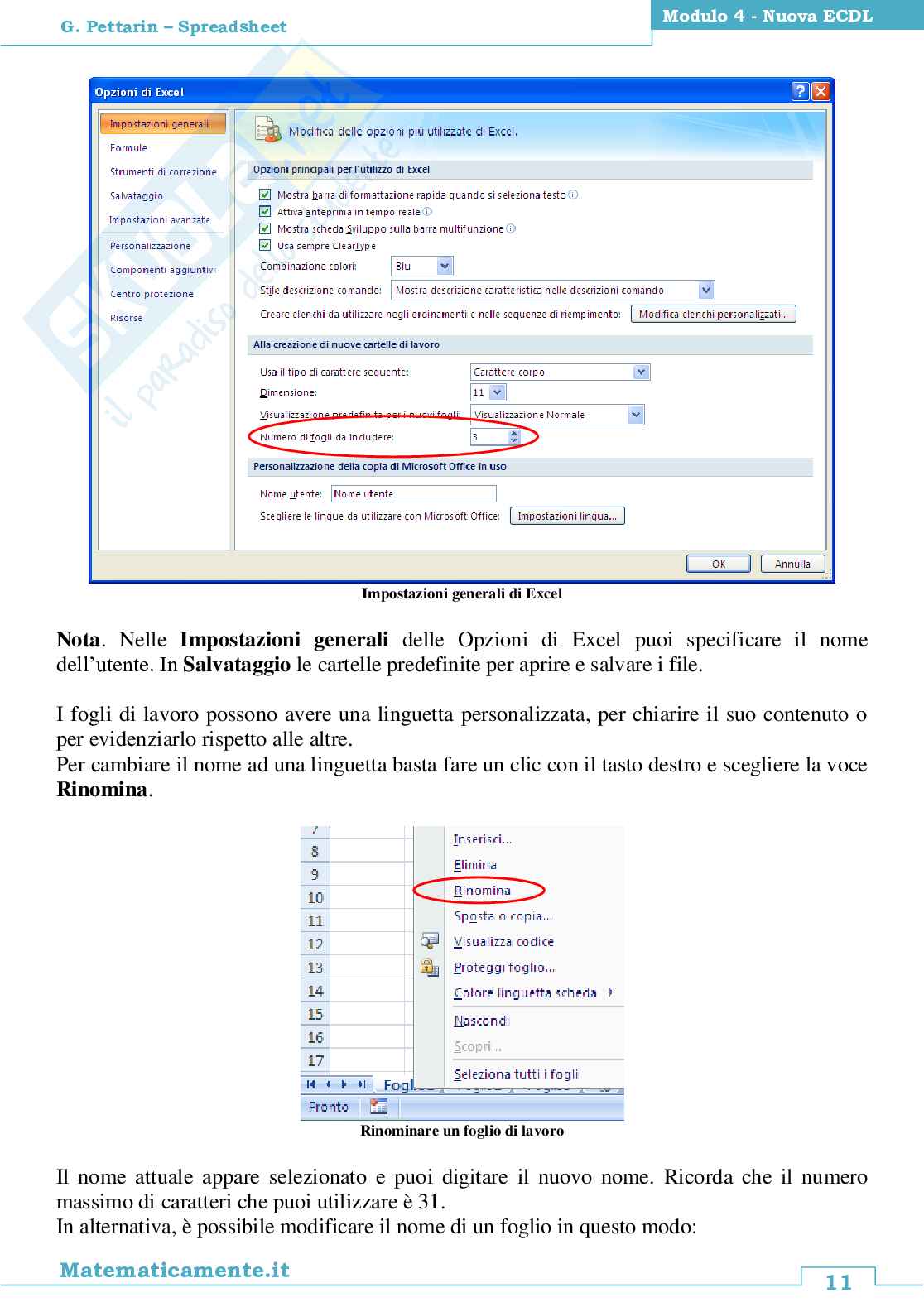 08. Nuova ECDL modulo 4: Spreadsheets, il foglio di calcolo (ebook) Pag. 11