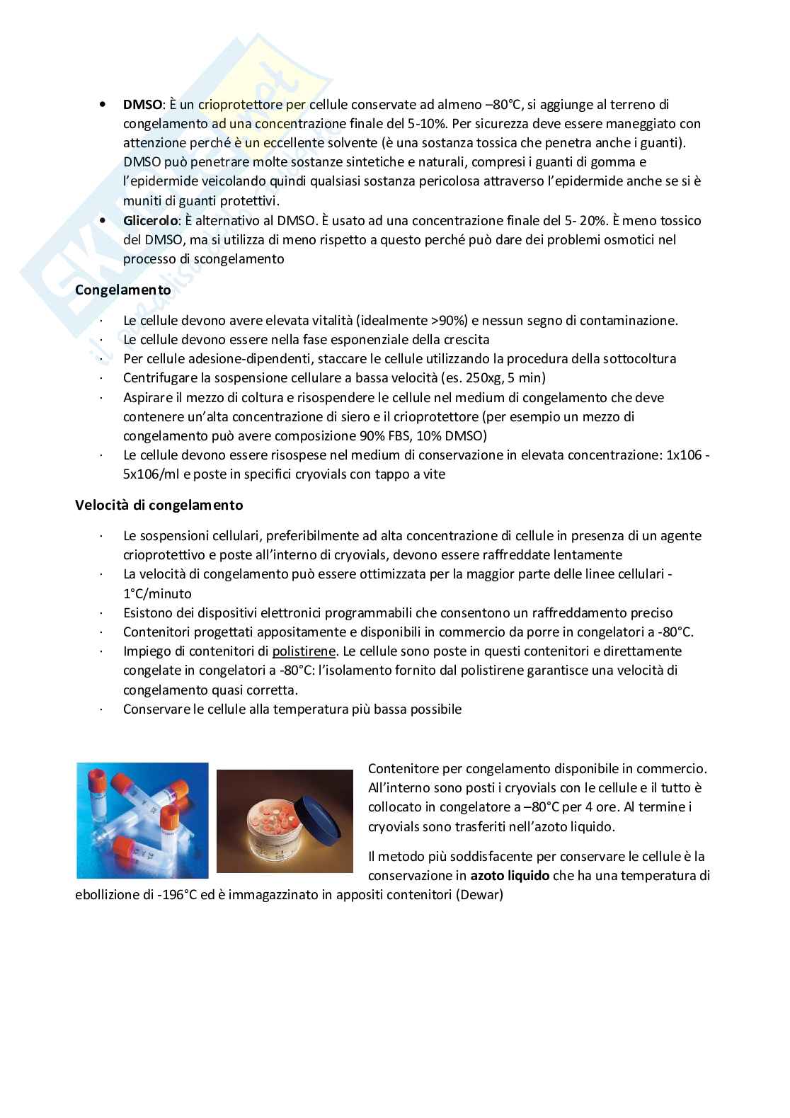 Biologia cellulare (Colture cellulari - parte della prof.ssa Bernacchioni) Pag. 56