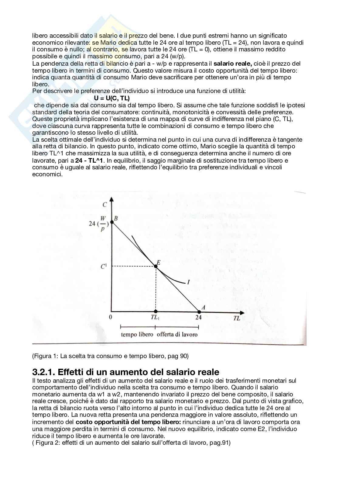 Riassunto esame Economia politica, Prof. Basile Elisabetta, libro consigliato Lezioni di economia politica, Basile, Reganati Pag. 41