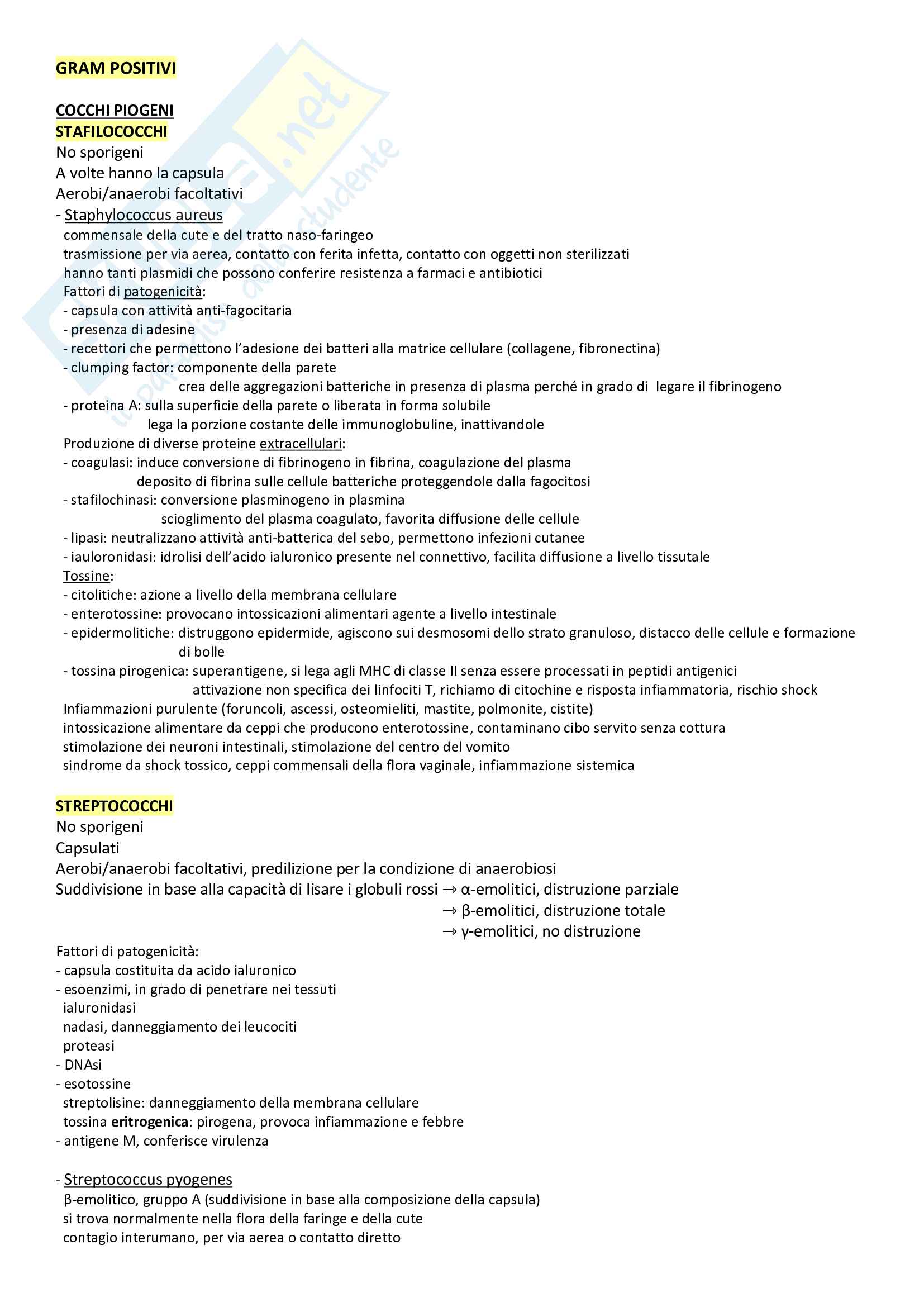 Riassunto batteriologia Pag. 1